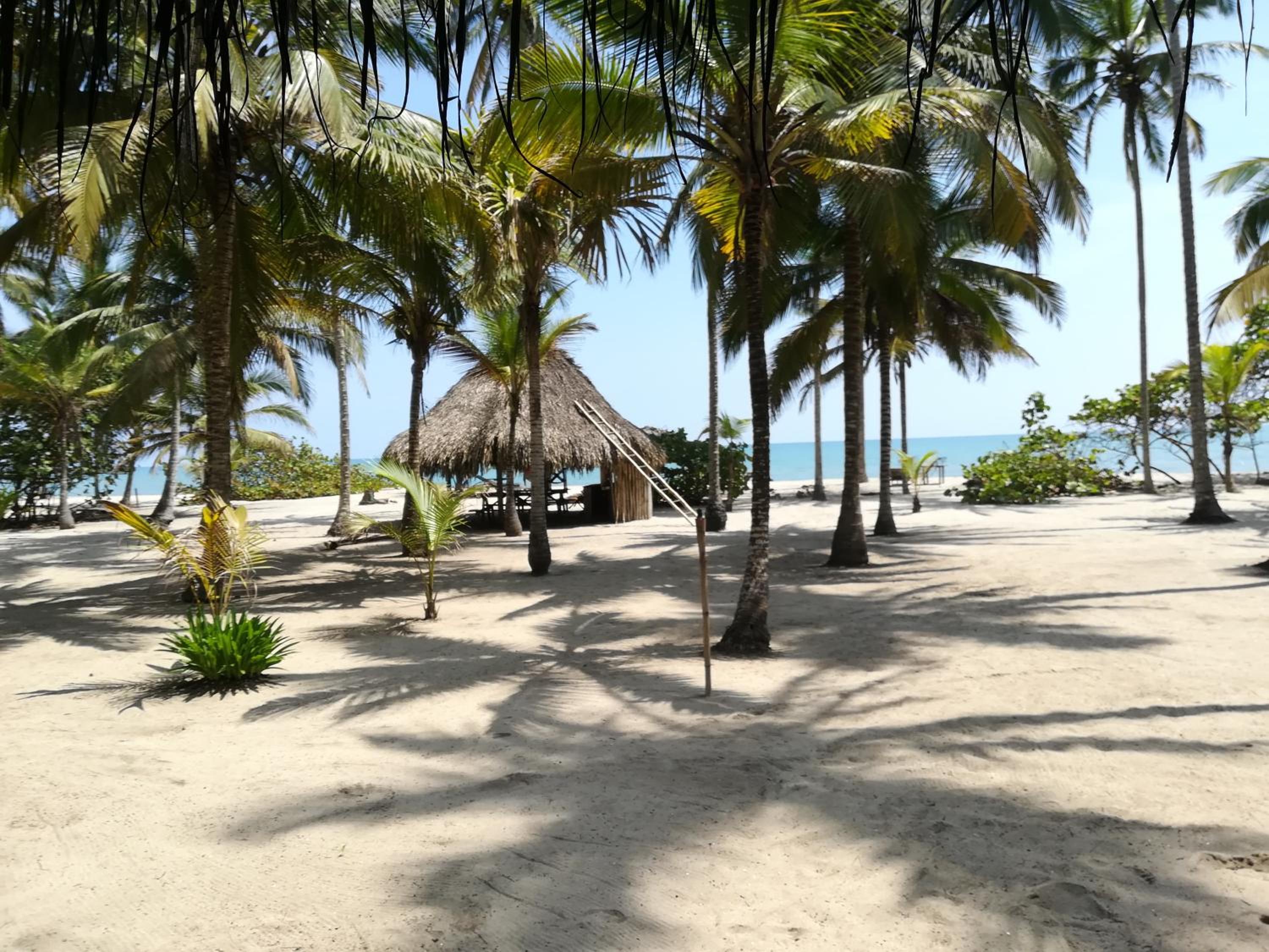 Deluxe Double or Twin Room with Sea View photo 2