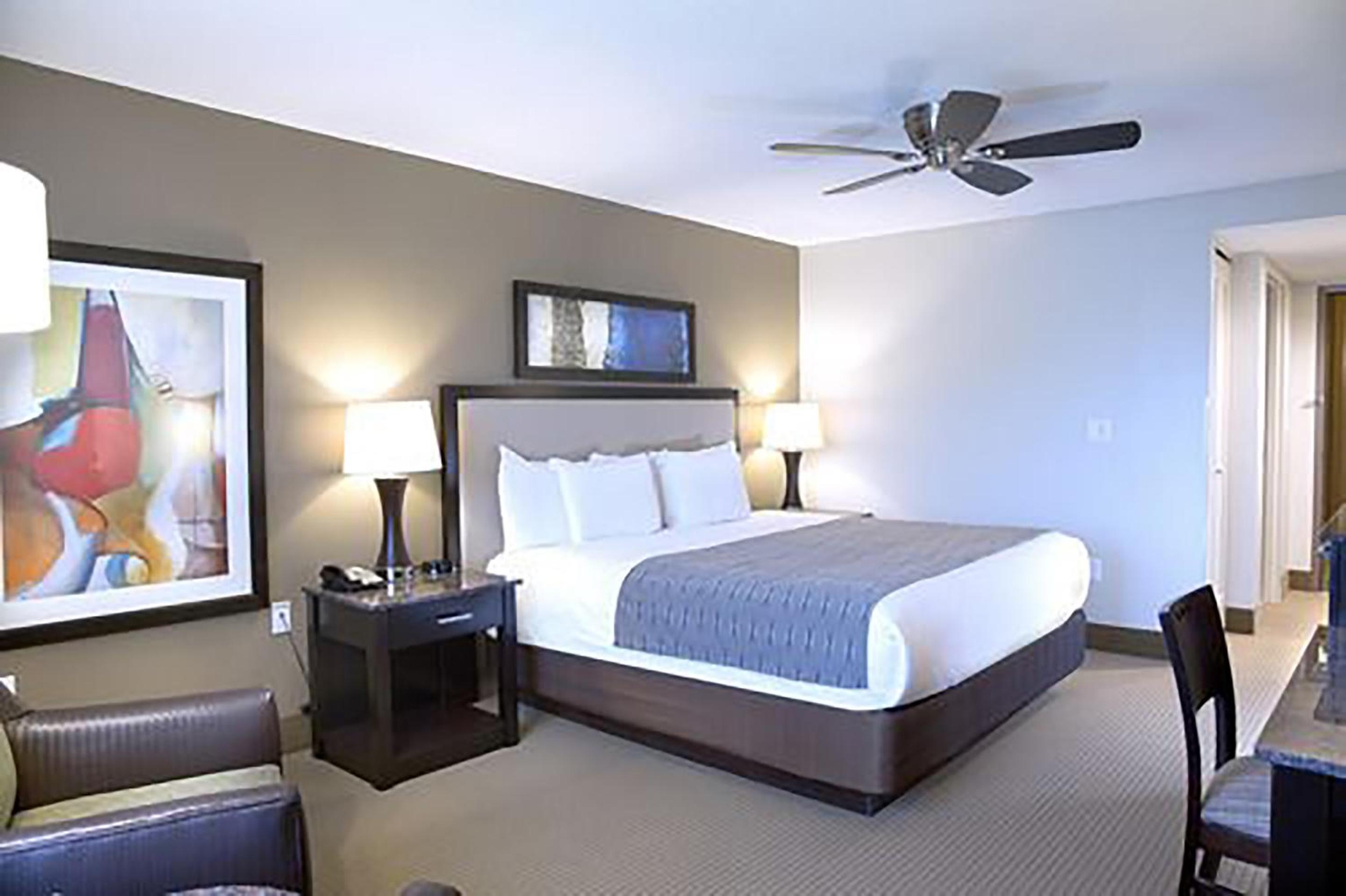 Standard King Room