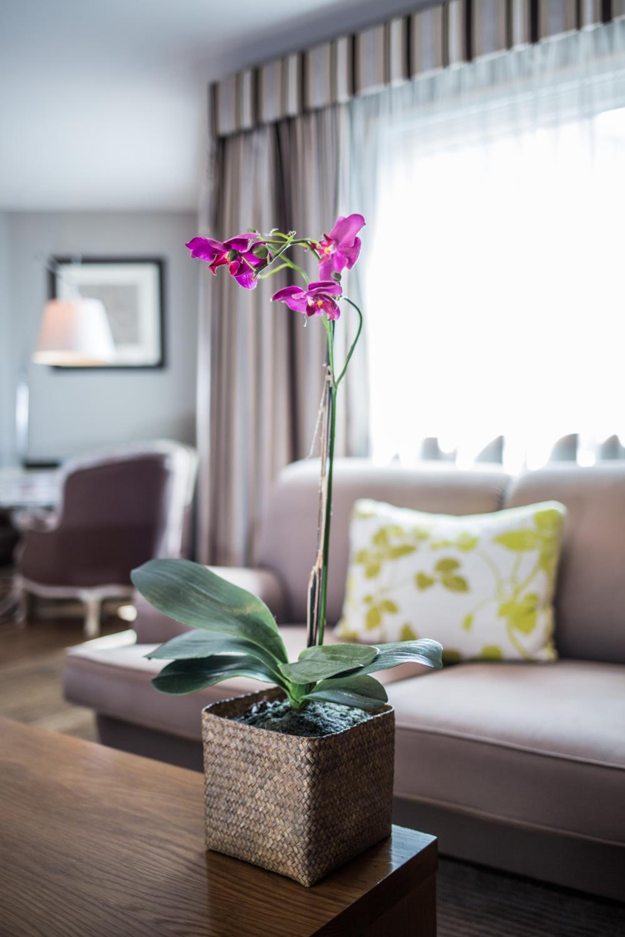 Junior Suite - Photo 5