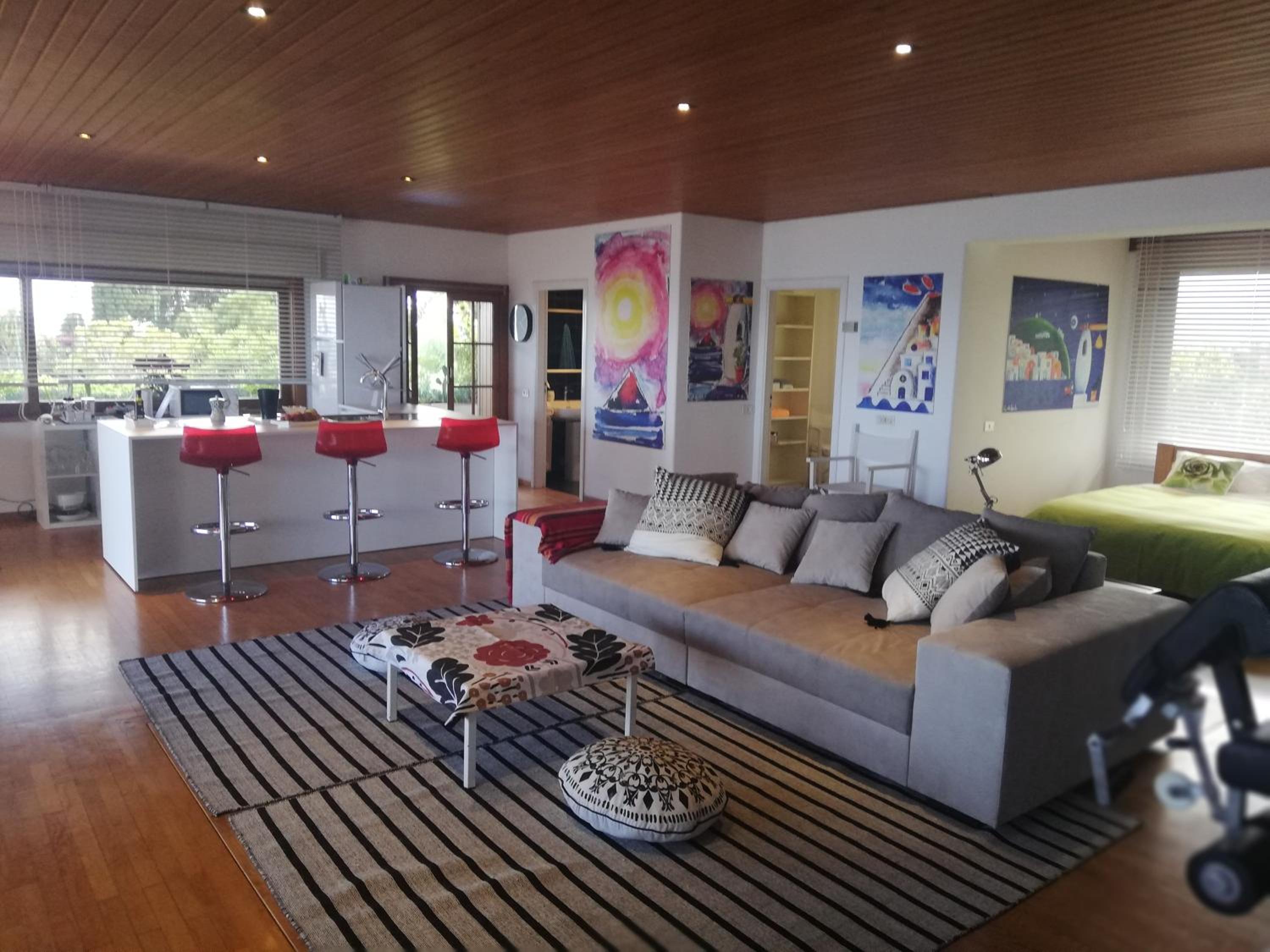 Penthouse Apartment