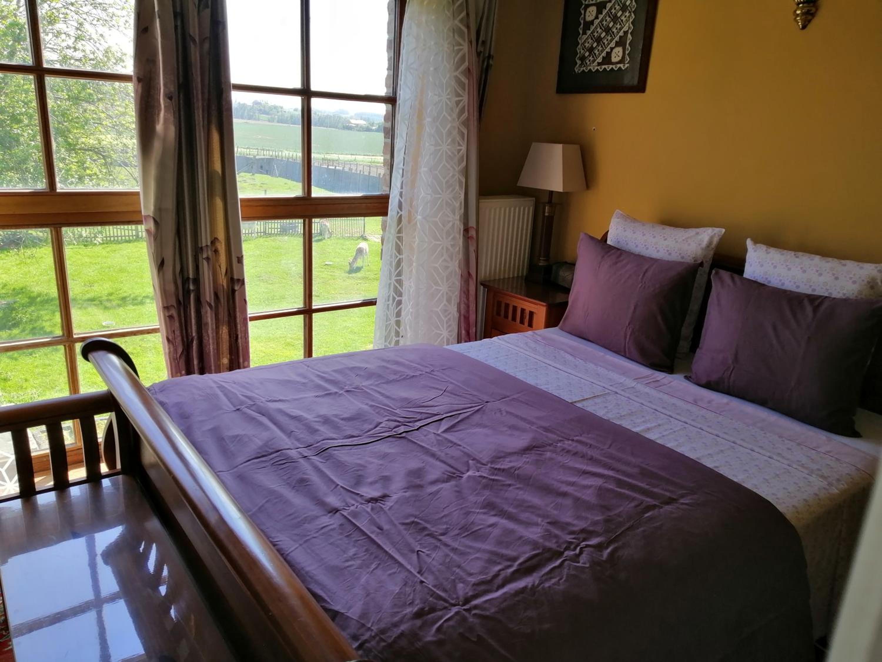 Standard Double Room photo 3