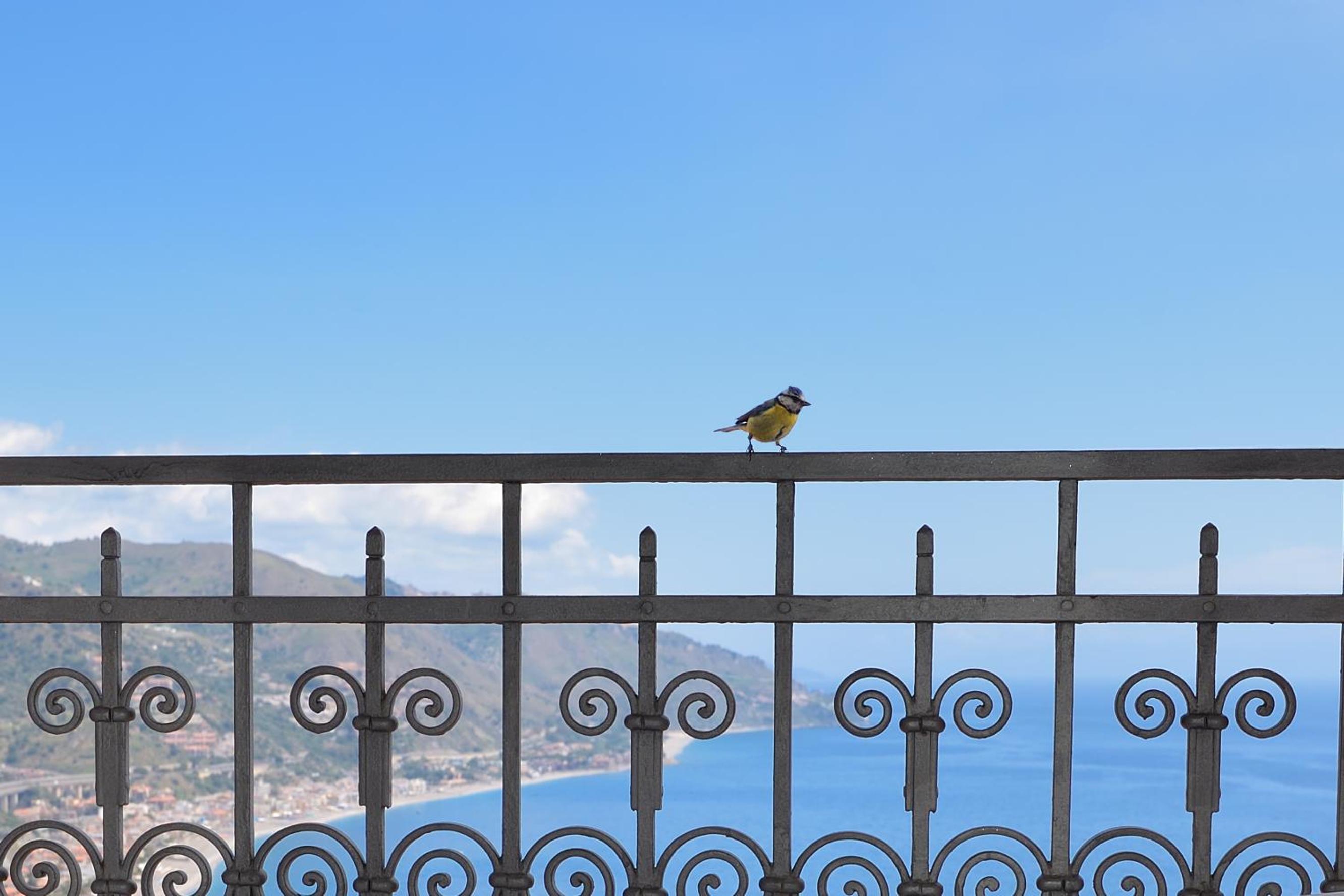 Superior Double with Sea View and Balcony - Photo 6