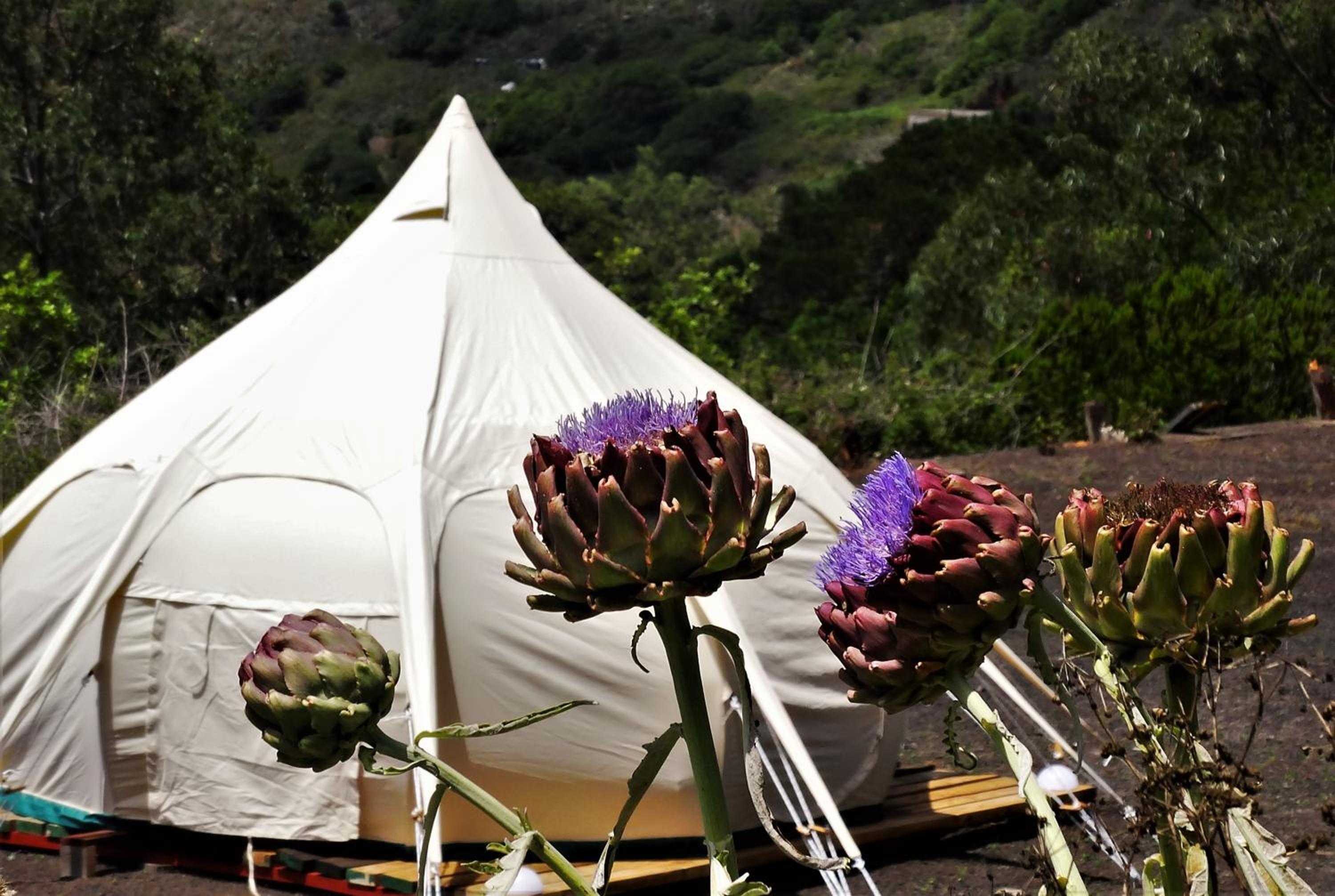 Tent photo 3