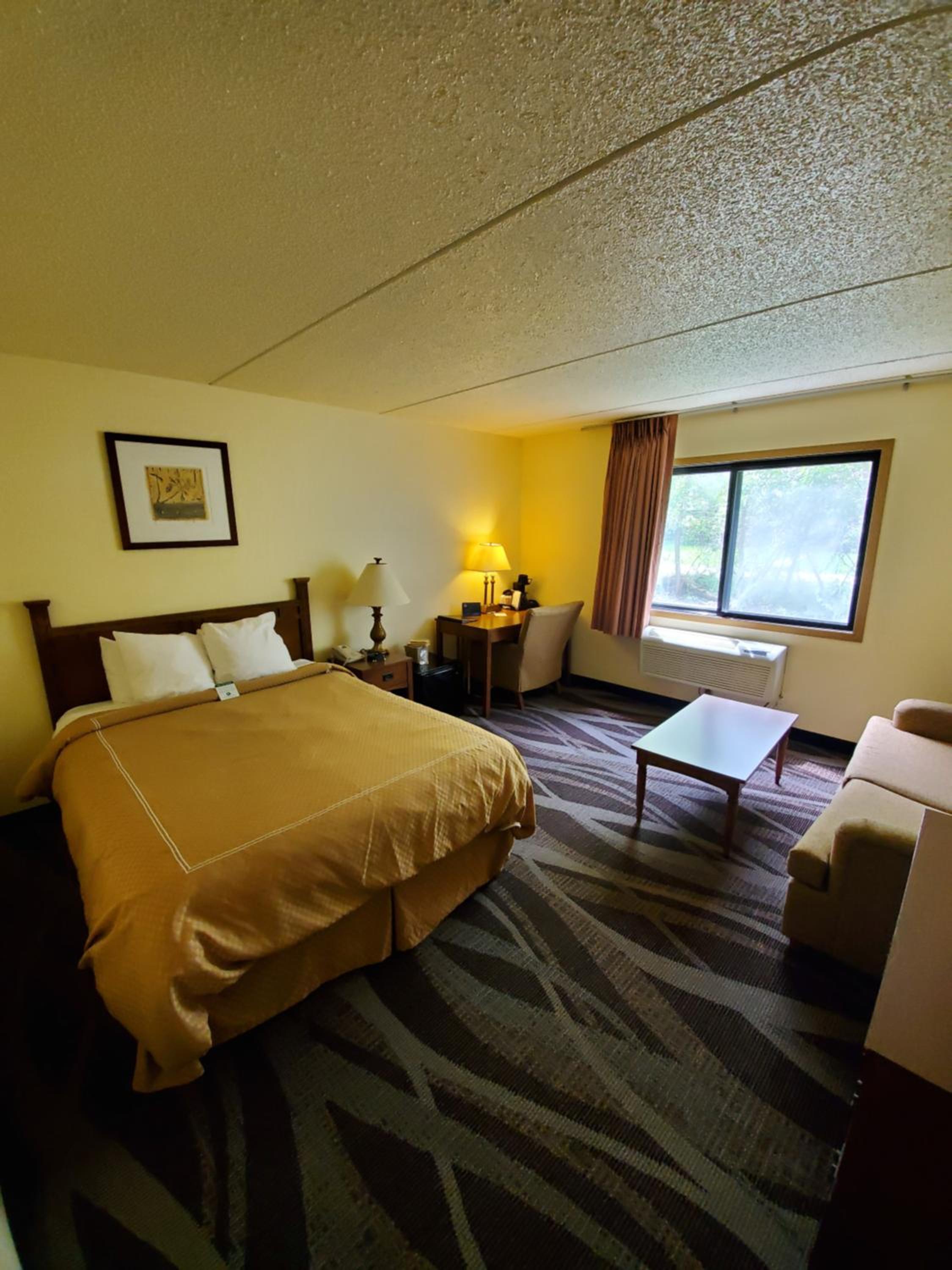 Queen Room with Sofa Bed - Disability Access/Non-Smoking - Photo 1