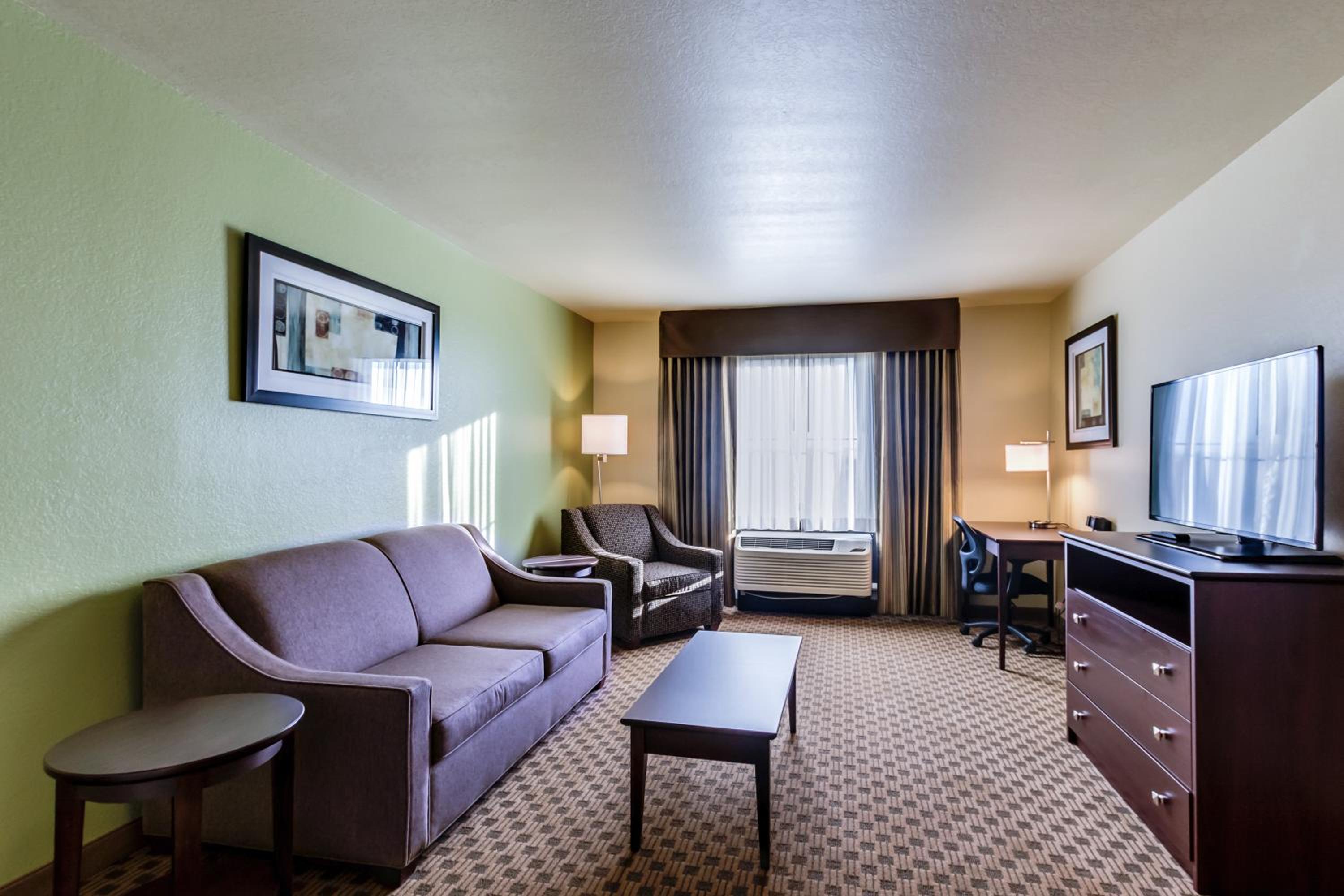 One-Bedroom Suite photo 1