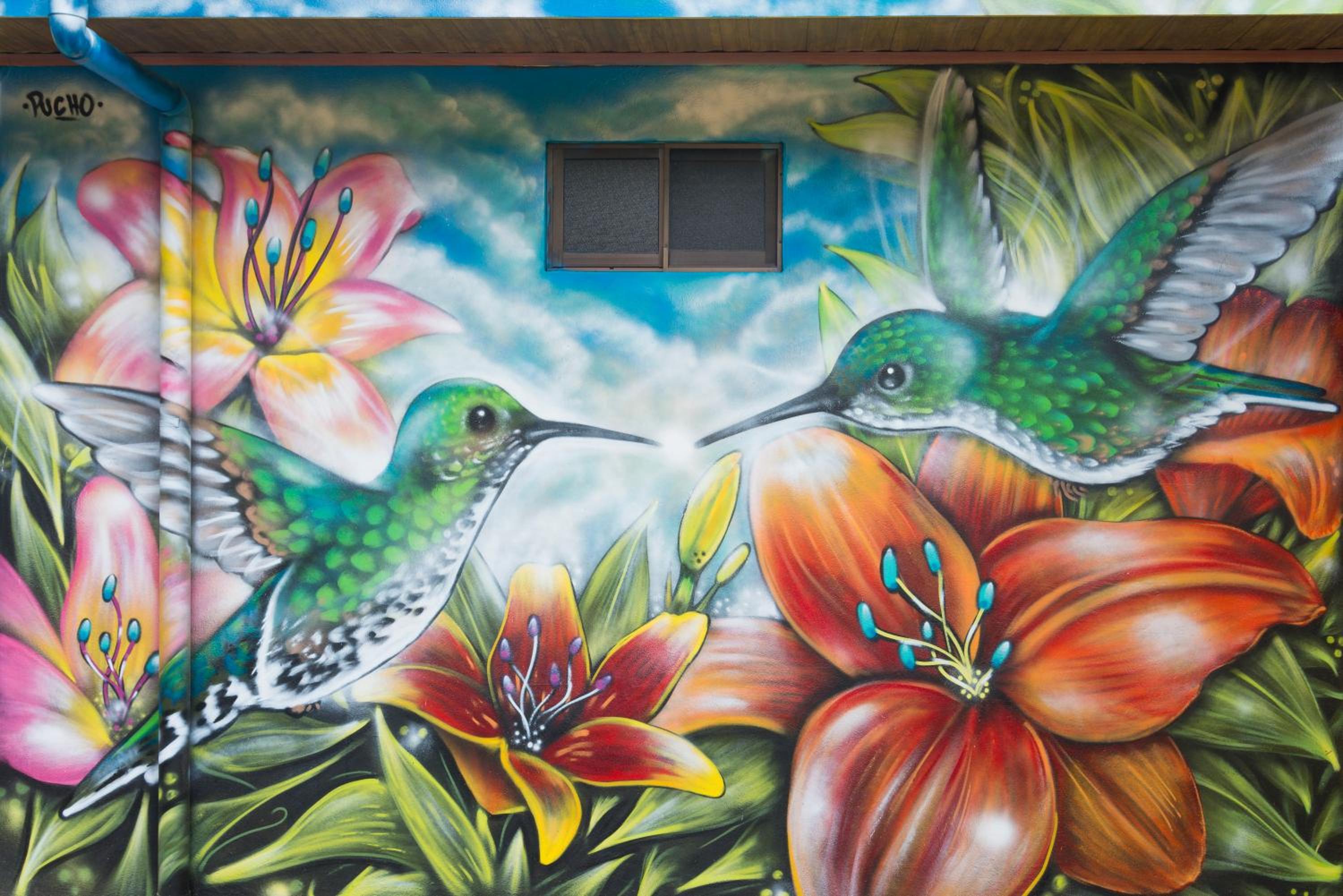 Pura Vida Cottage - Photo 3