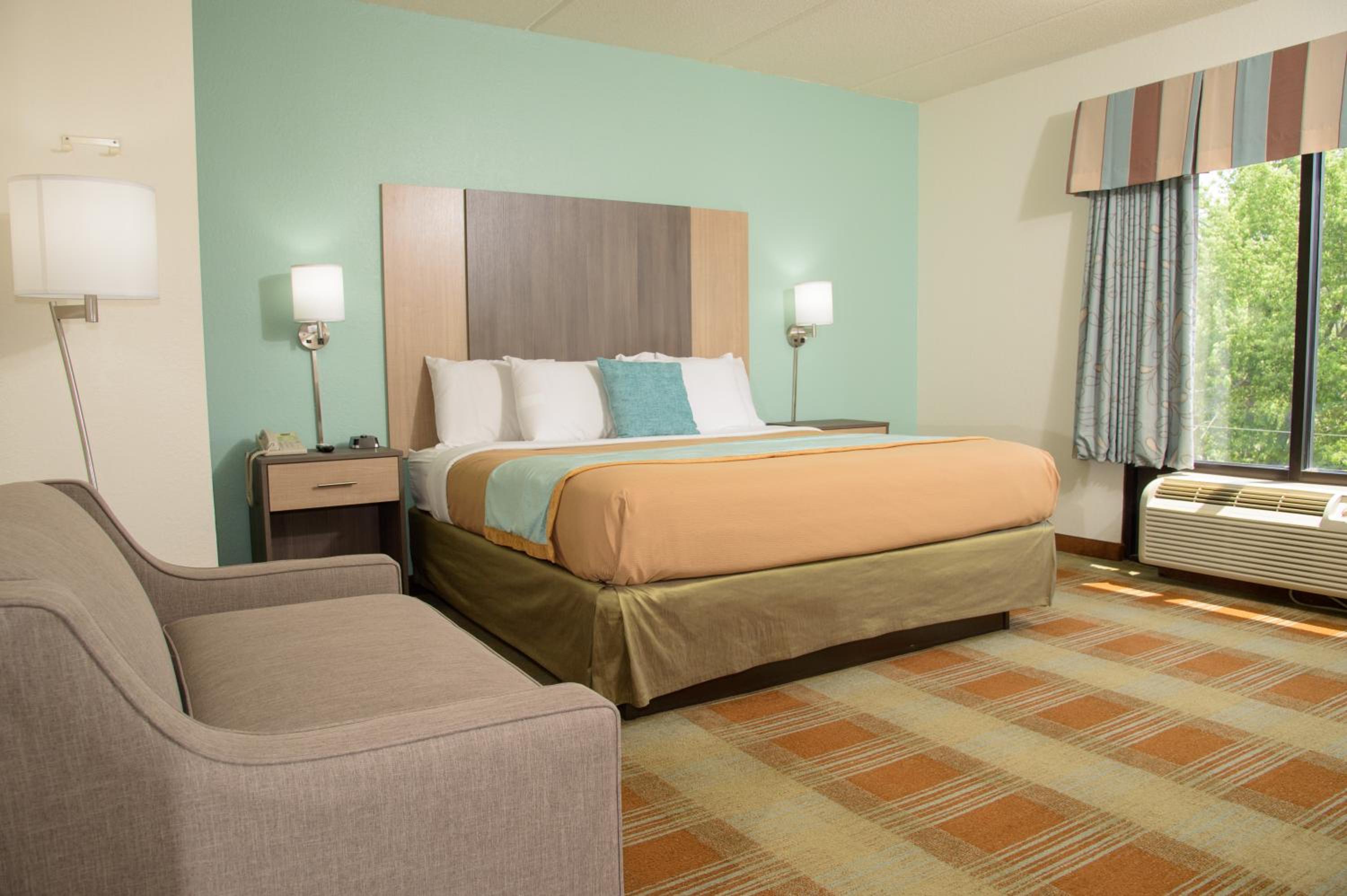 King Room photo 1
