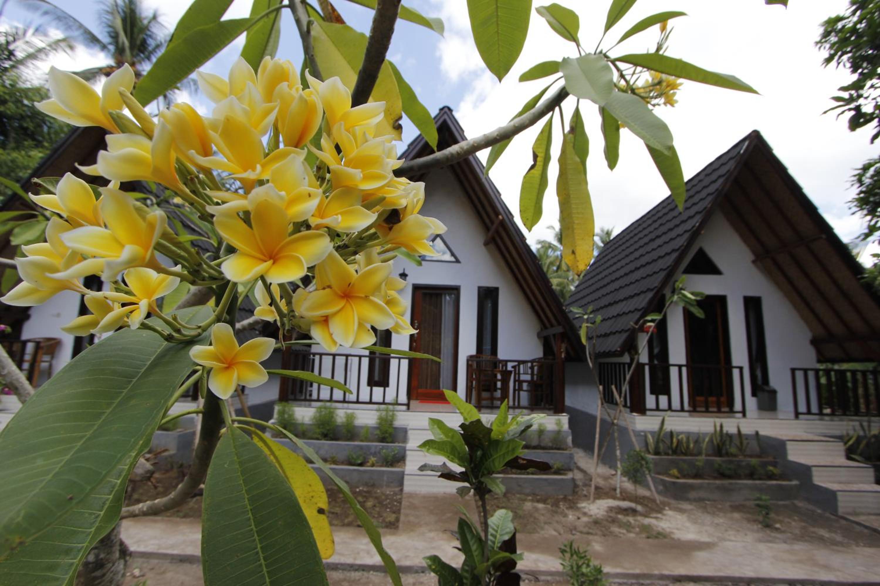 Double Room with Garden View - Photo 4