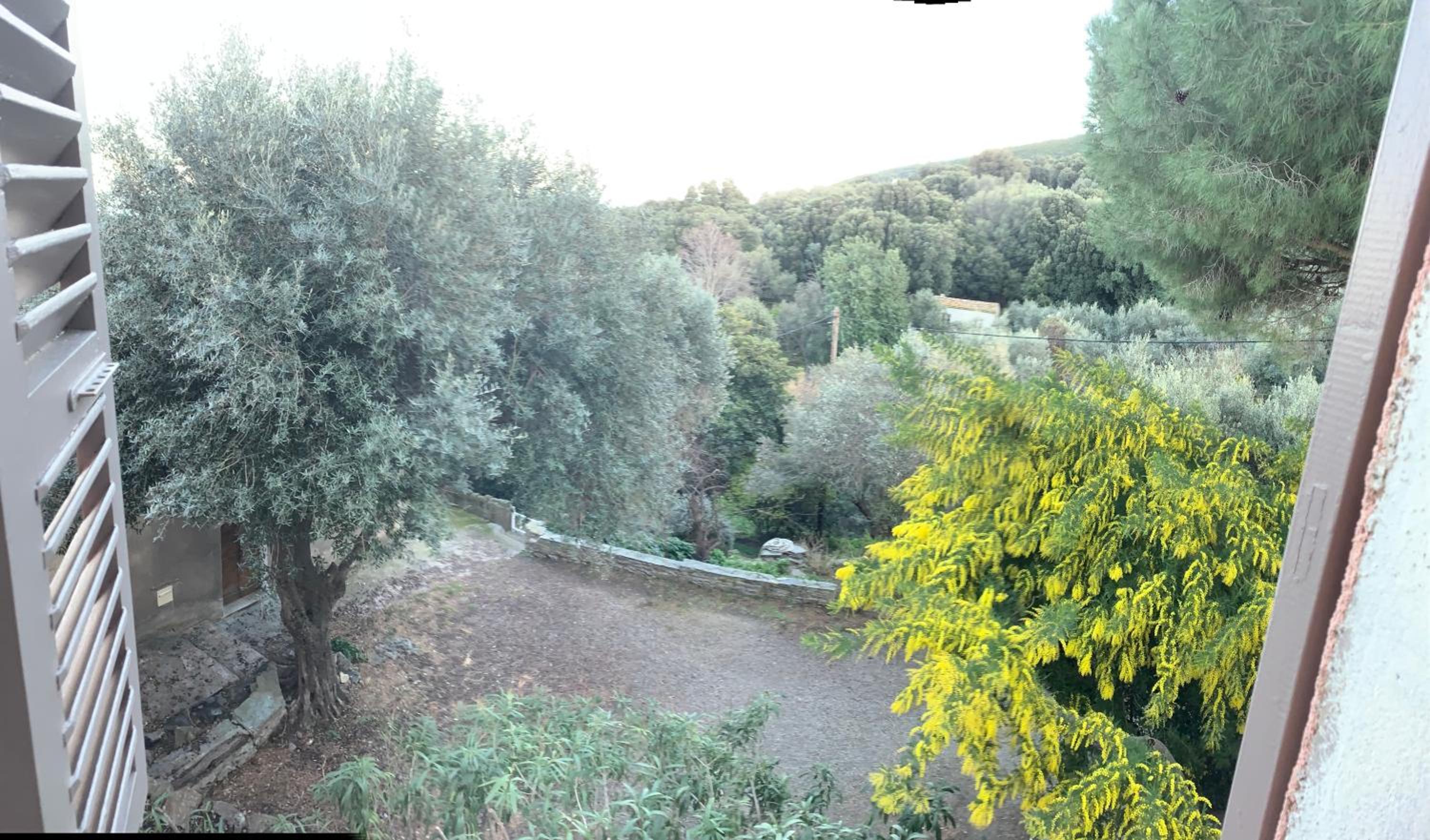 Apartment with Sea View - Photo 10