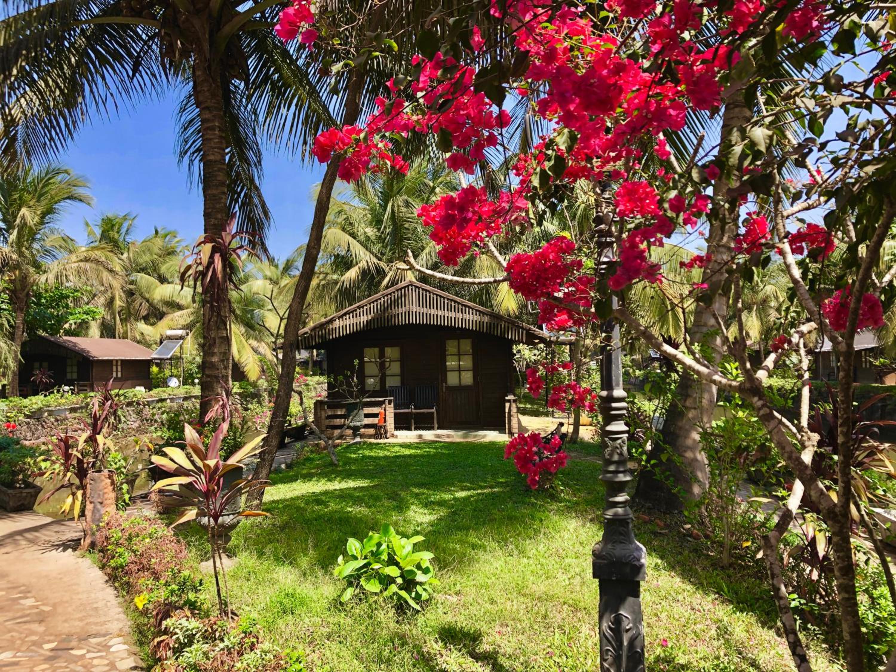 Standard Wooden Cottage - Photo 12