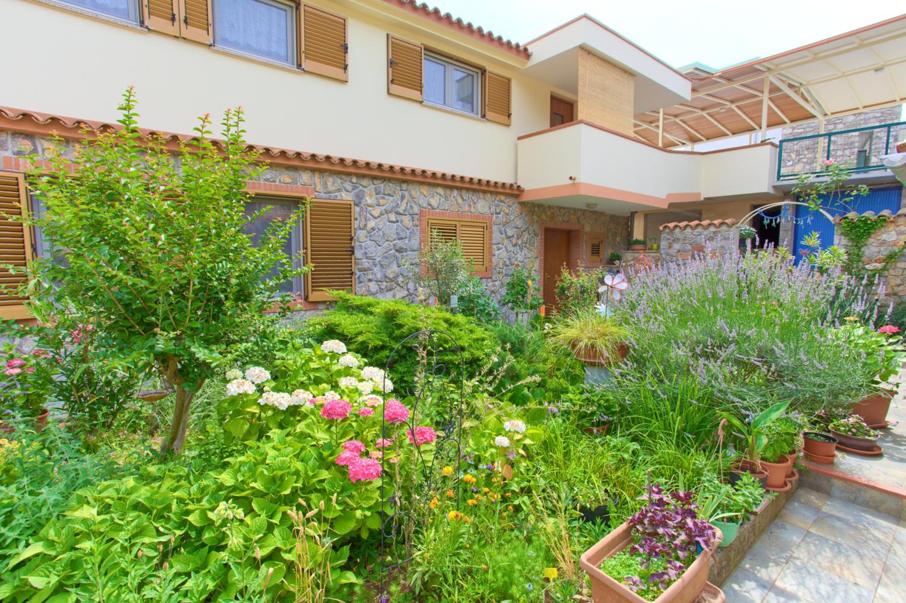 Apartment with Sea View photo 2