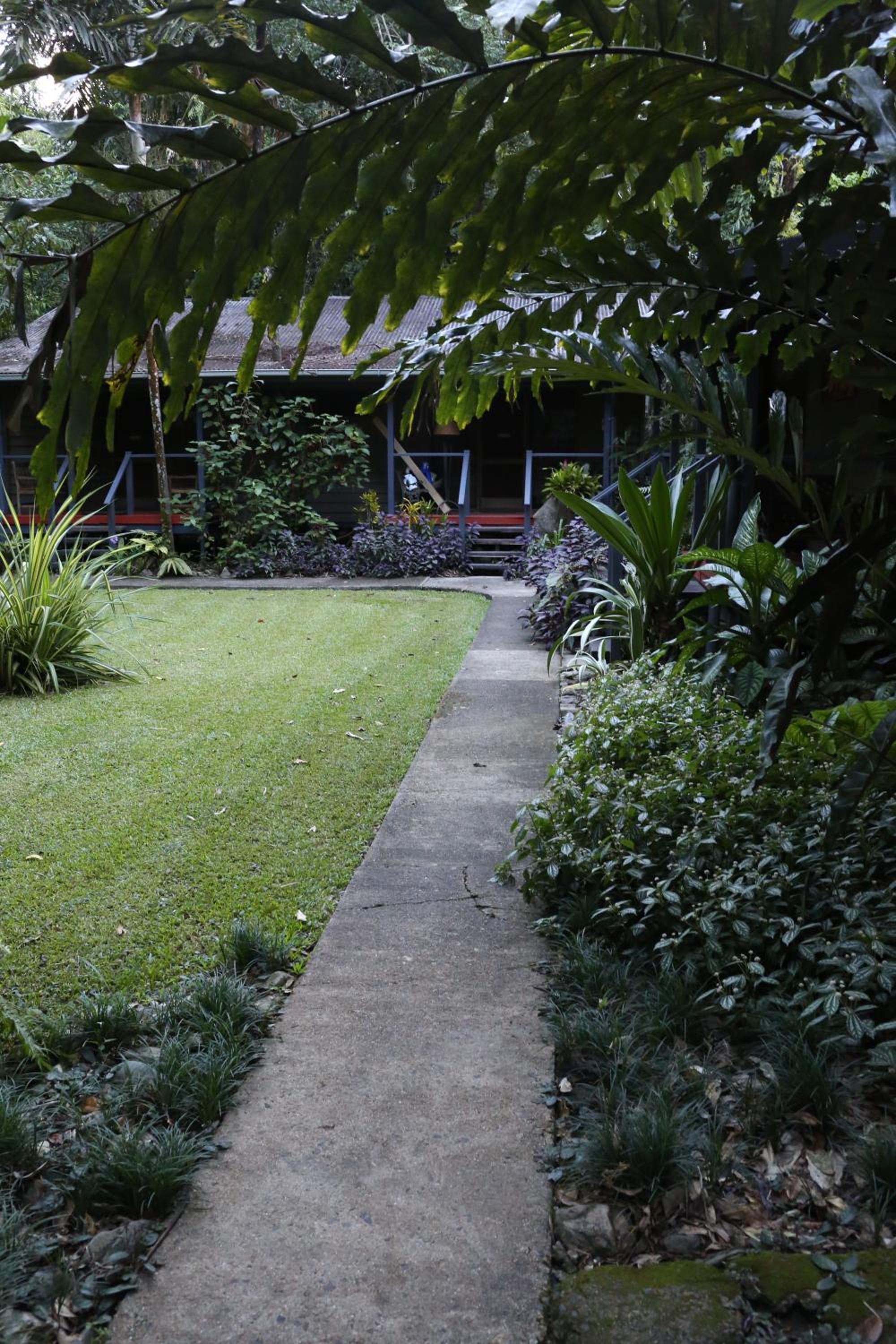 Queen Cabin with Rainforest View - Photo 3