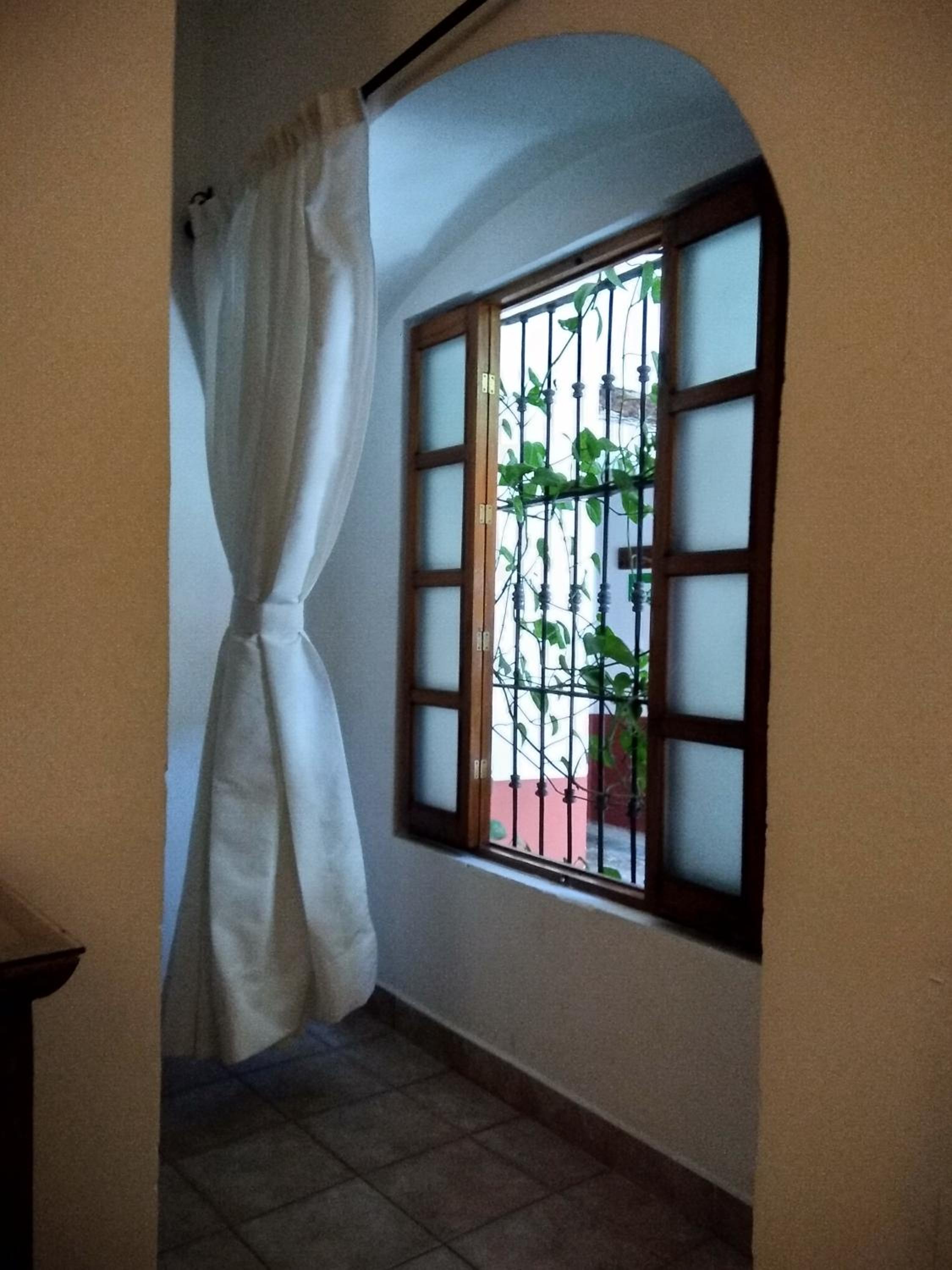 Small Single Room photo 2