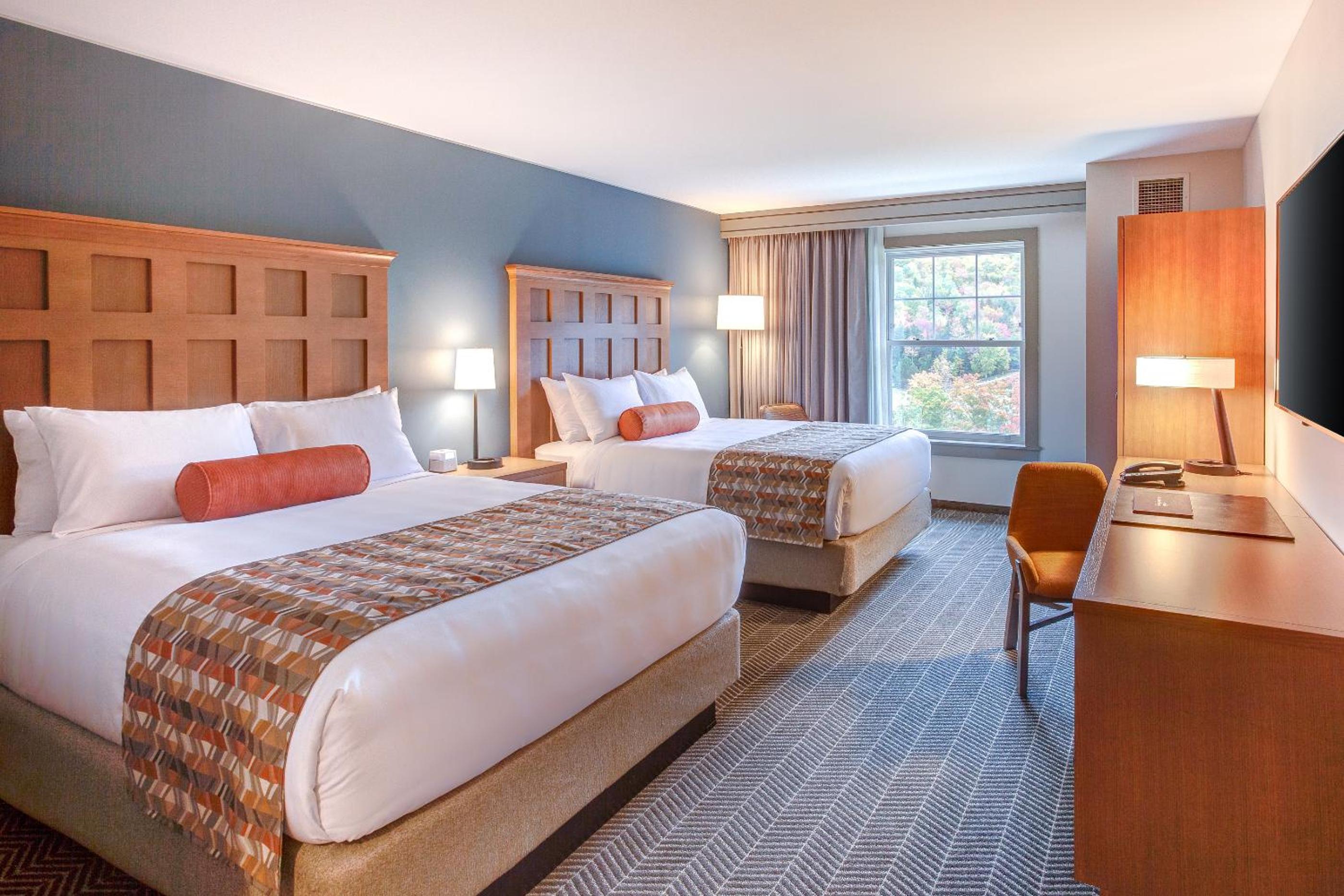 Accessible Mountain View Room photo 2