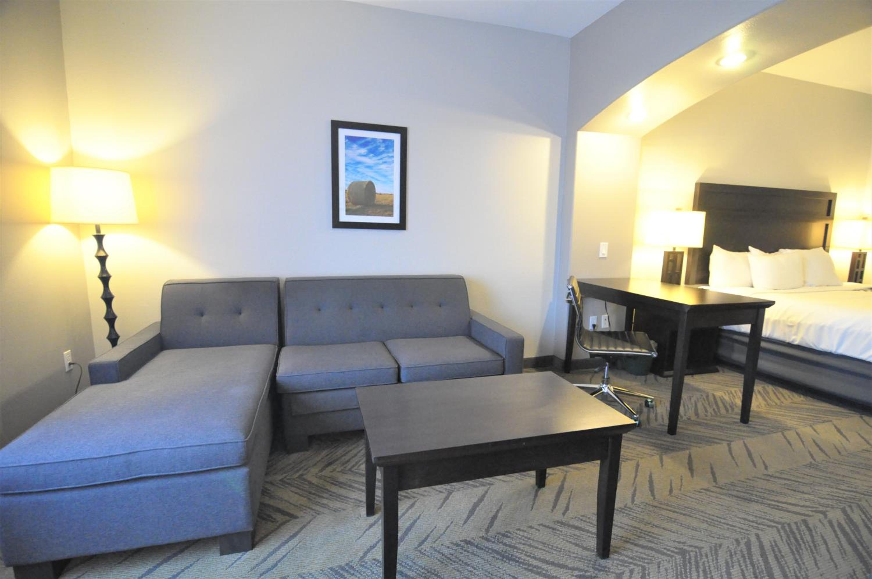 Deluxe King Suite - Photo 5