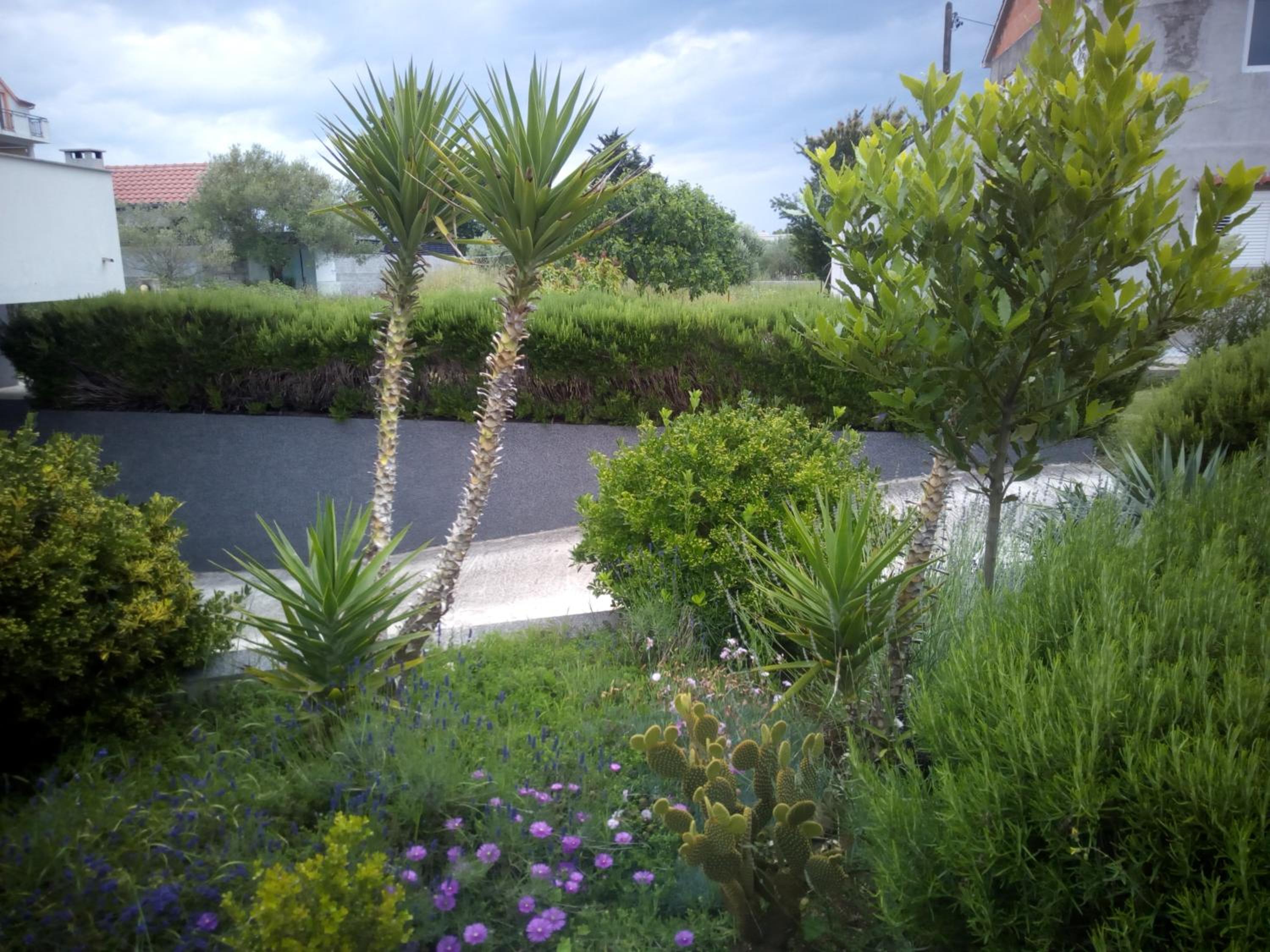 Apartment with Balcony - Photo 22