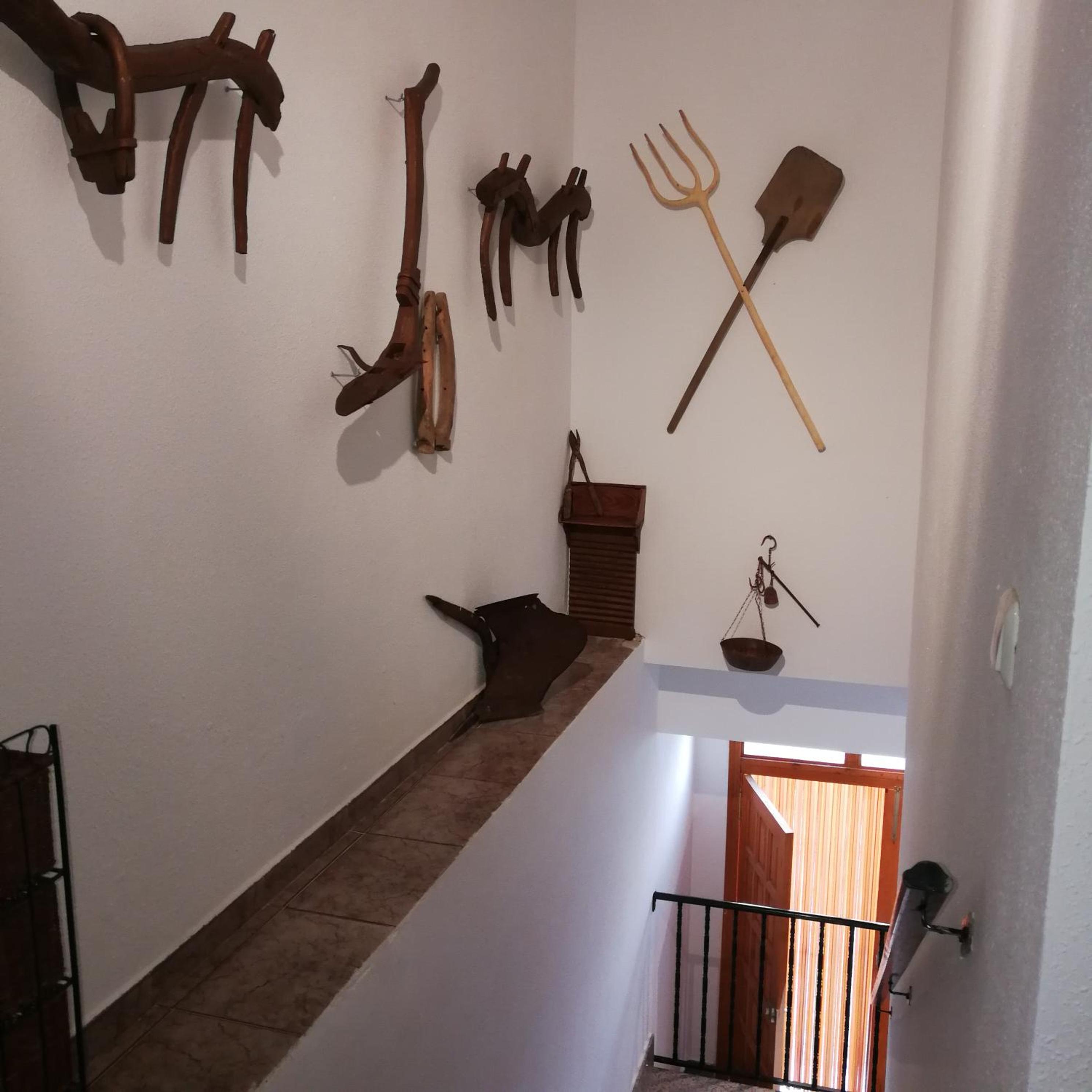 Apartment - Photo 4