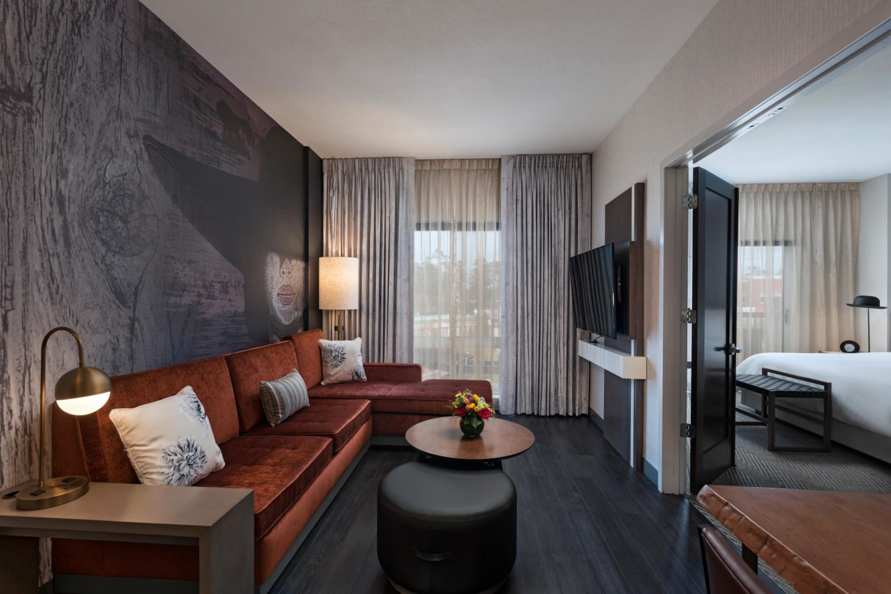 Lux Suite with King Sofa Bed - Photo 4