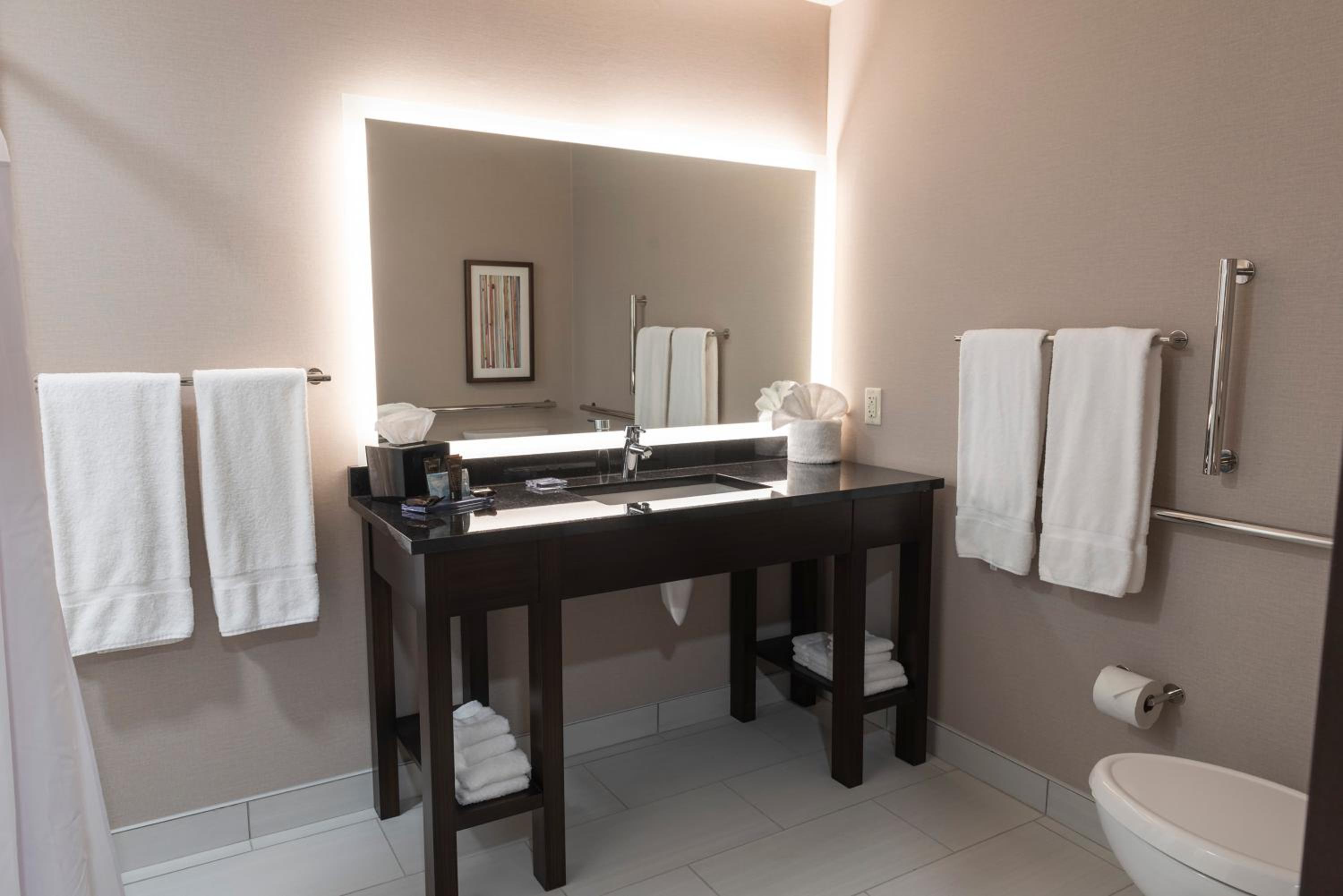 One-Bedroom King Suite - Mobility Access/Non-Smoking  - Photo 8