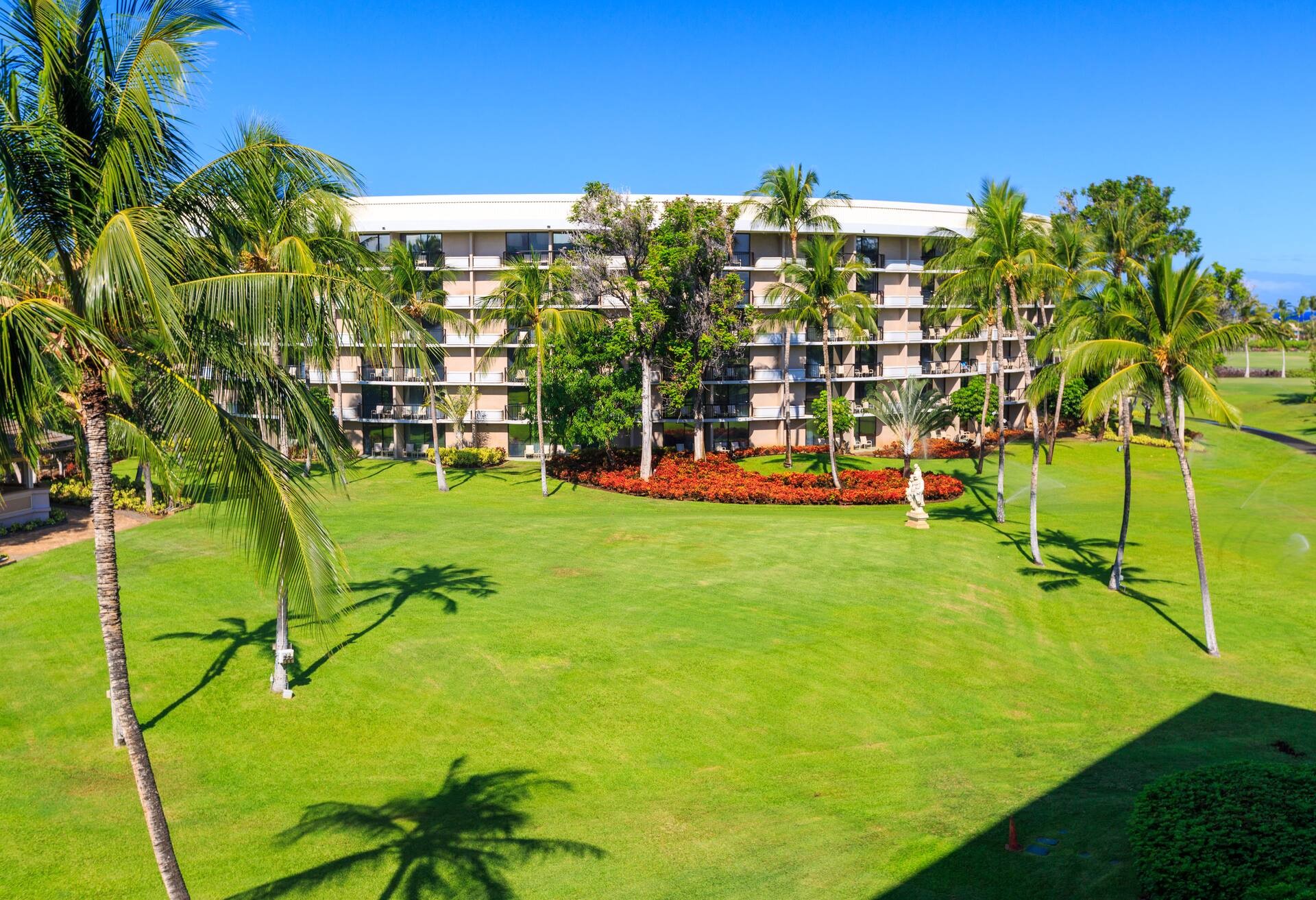 Resort View 1 King Bed
