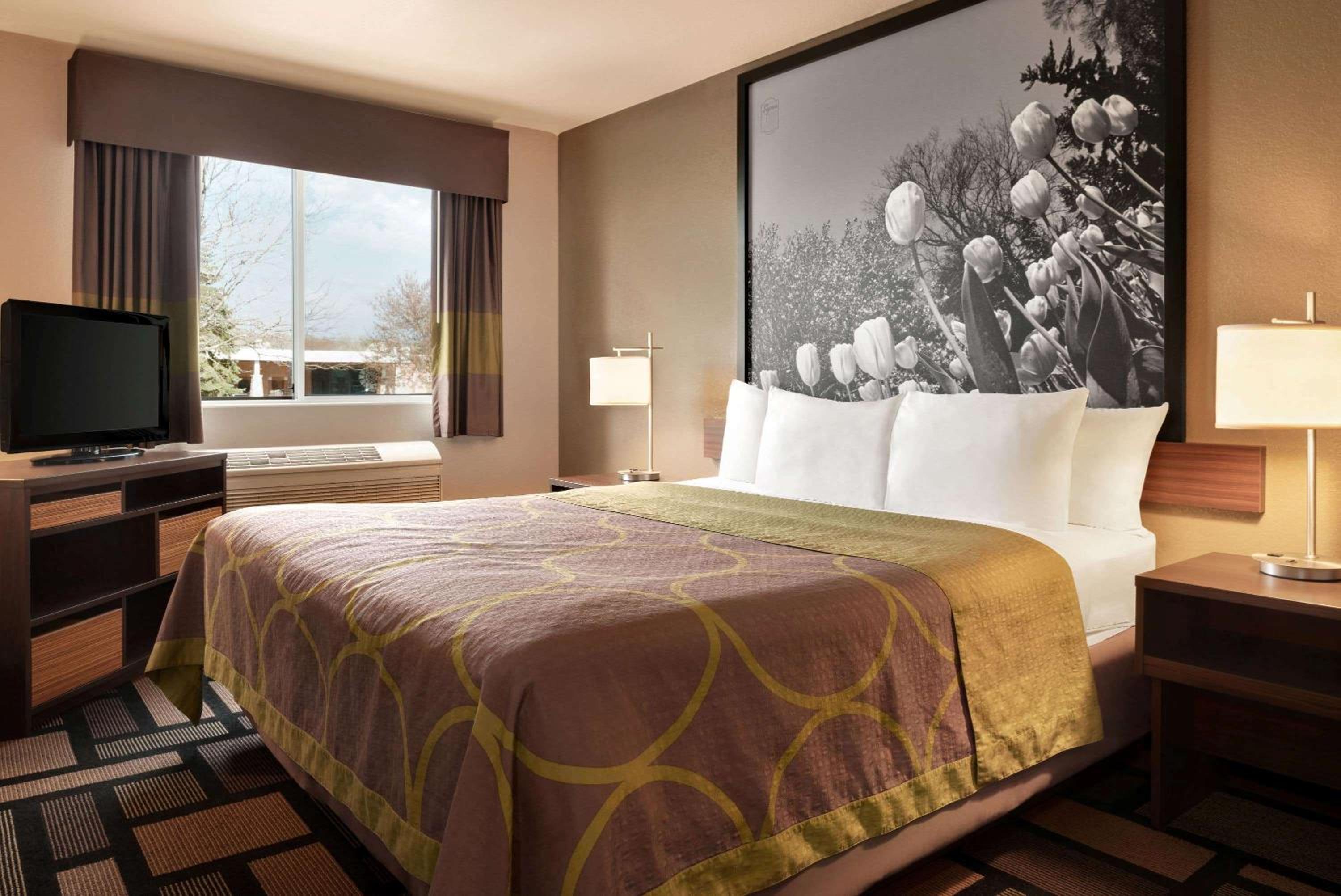 1 King Bed, One-Bedroom, Suite, Non-Smoking - Photo 6