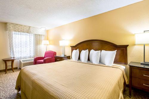 King Room - Non-Smoking/Pet Friendly photo 1