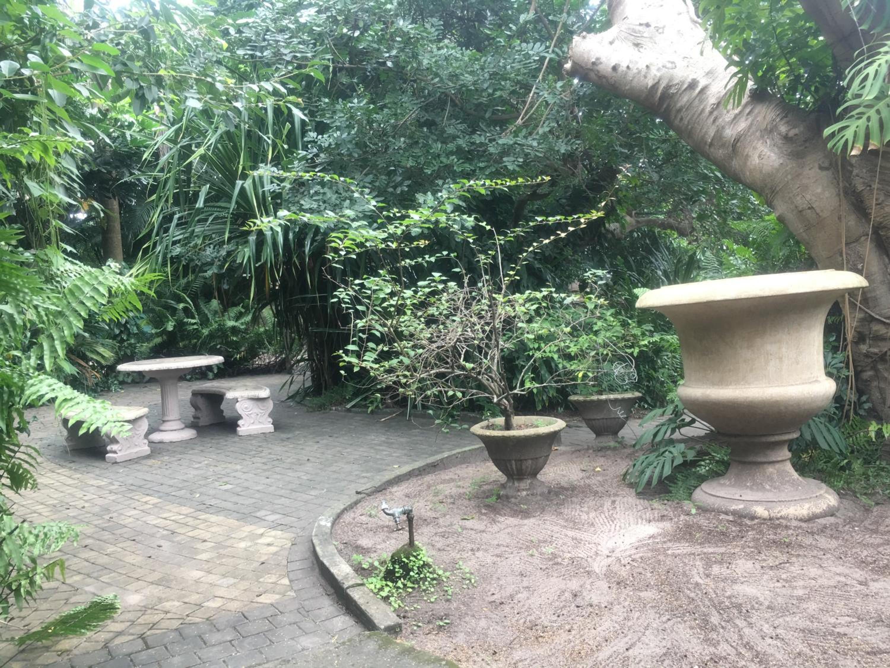 Double Room with Garden View photo 2