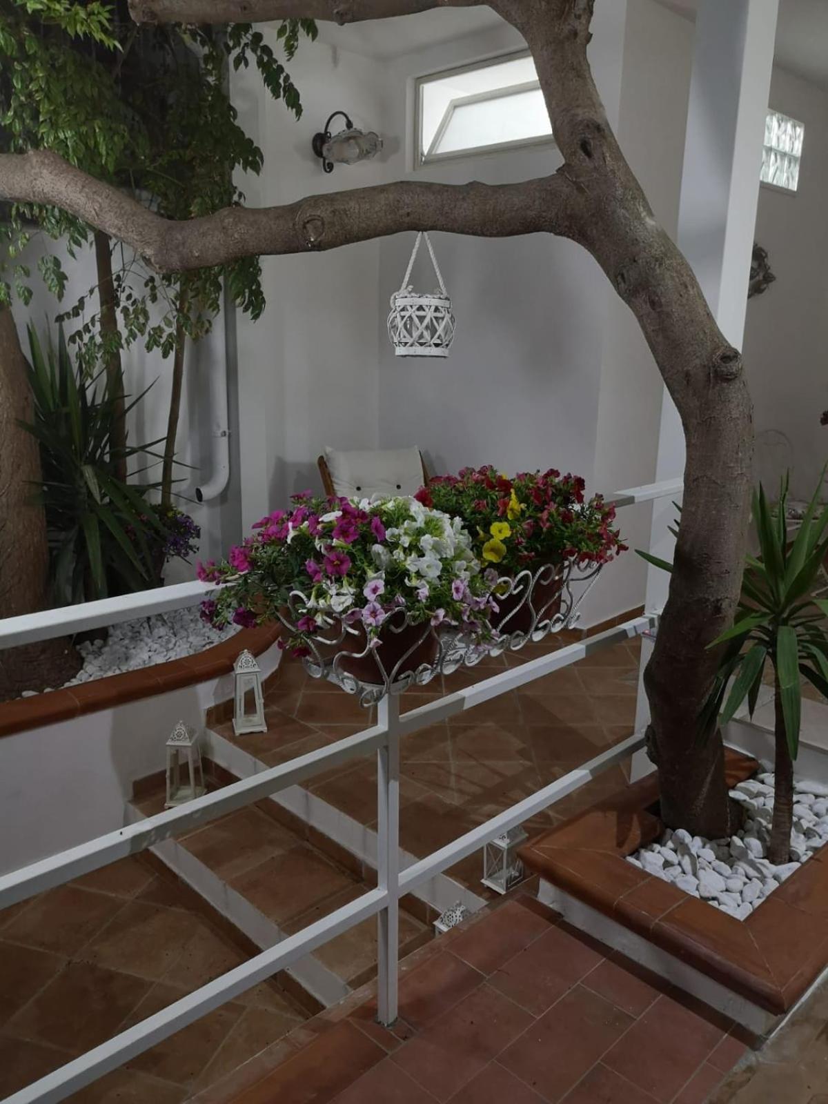 Quadruple Room - Photo 4