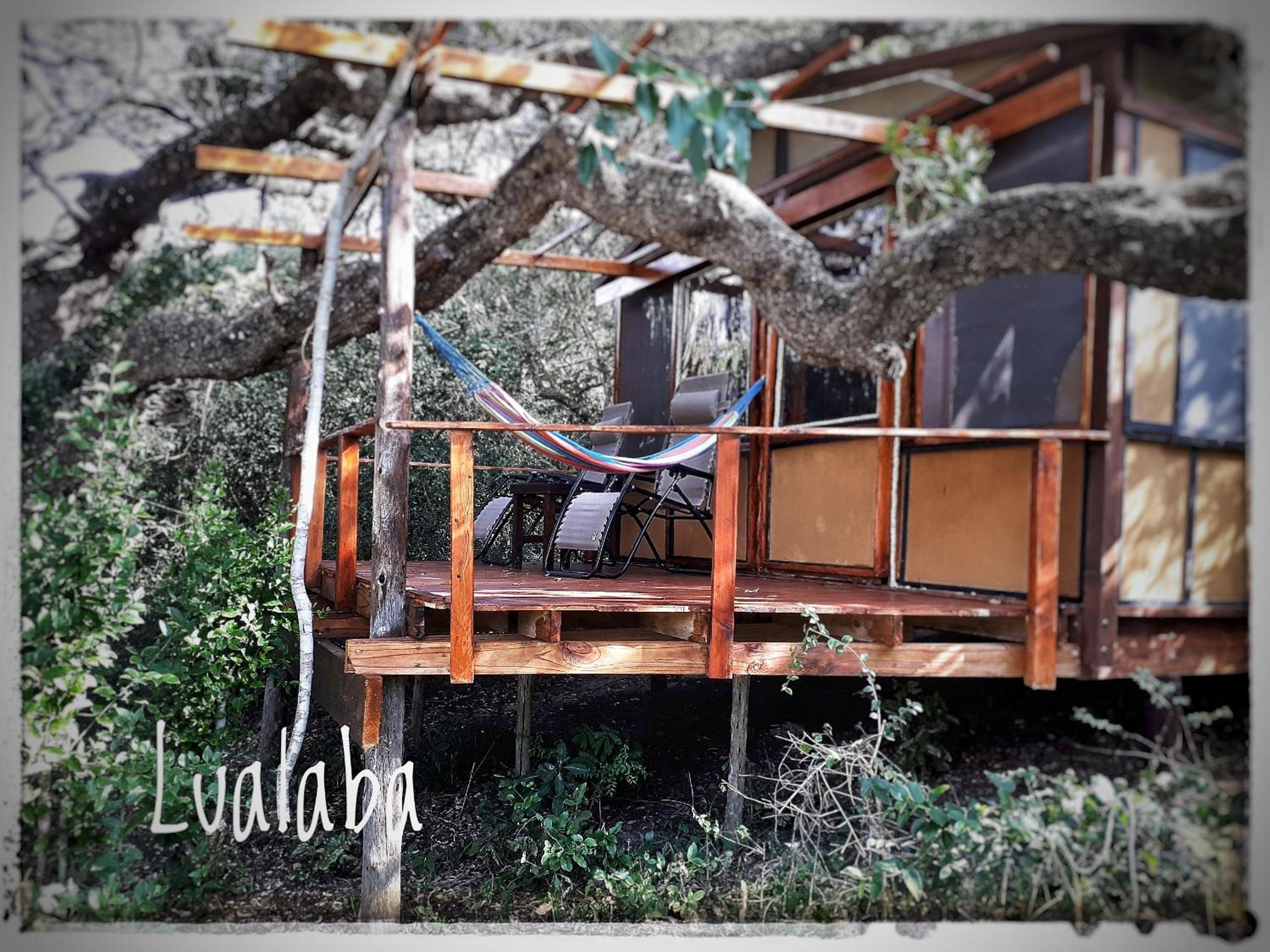 Chalet photo 3