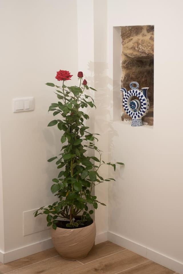 Two-Bedroom House photo 2