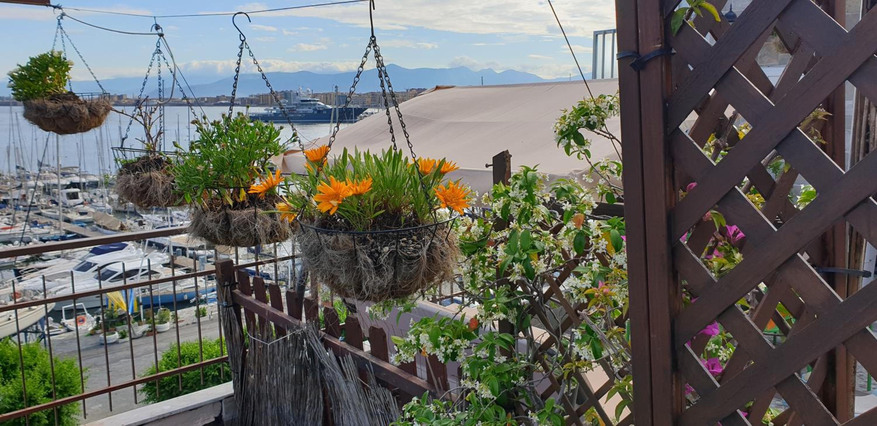 Studio with Sea View and Terrace - Photo 4