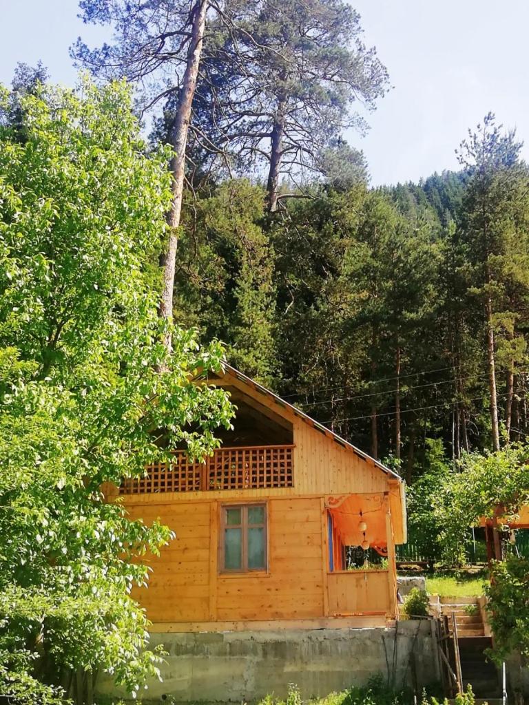 Triple Room with Mountain View photo 2