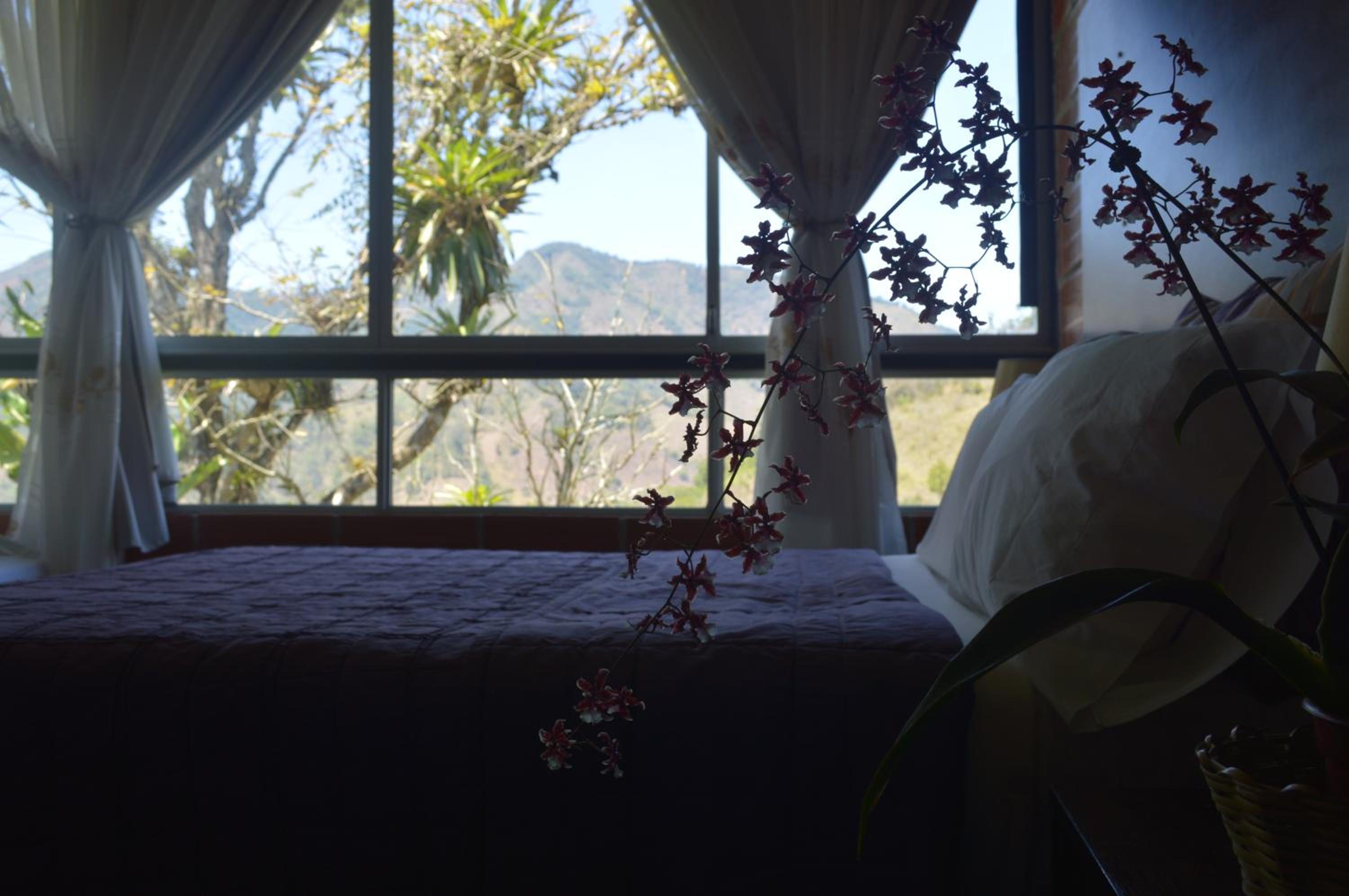Double Room with Mountain View photo 3