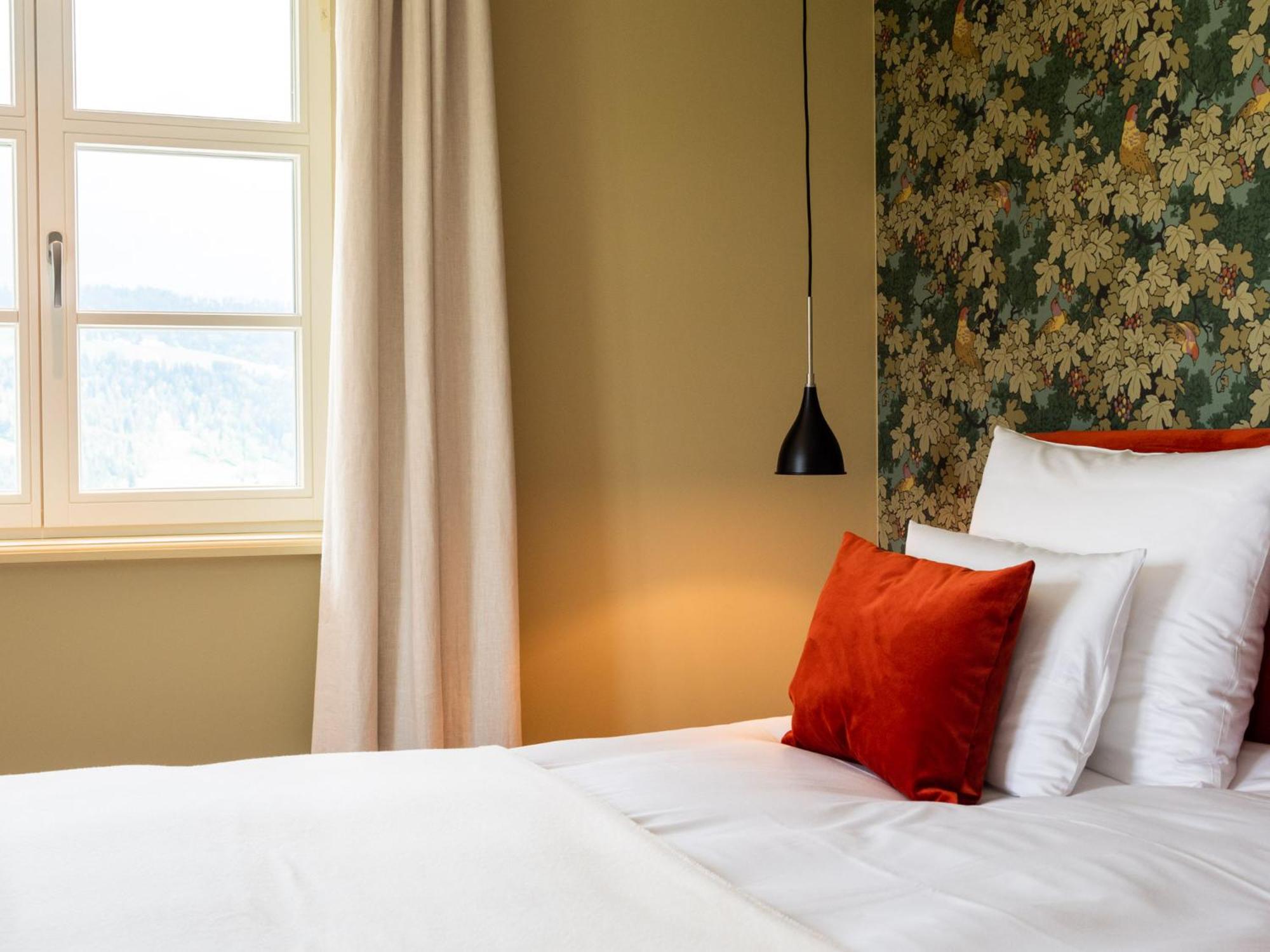 Deluxe King Suite photo 2