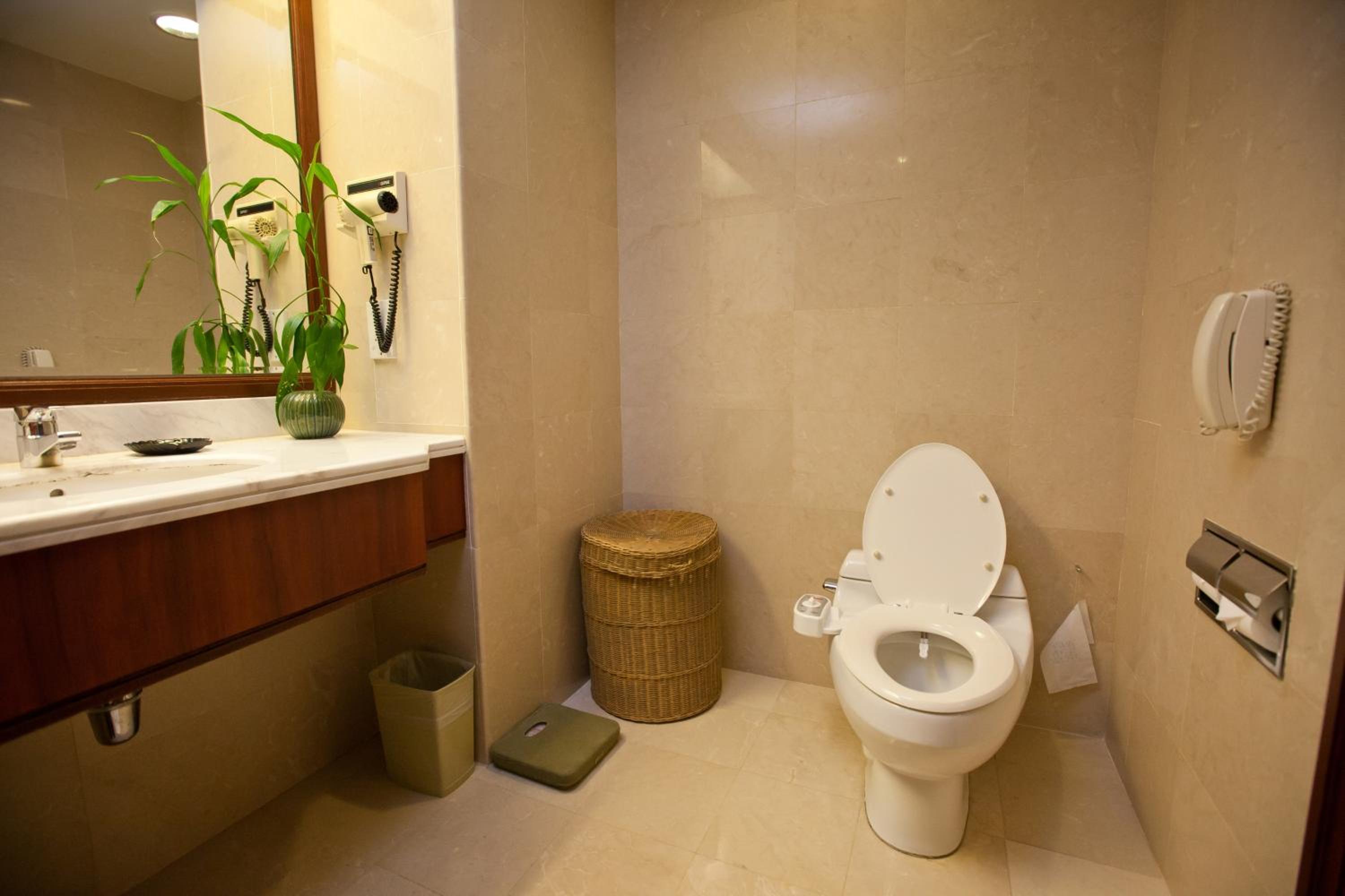Superior King Room (City View)
