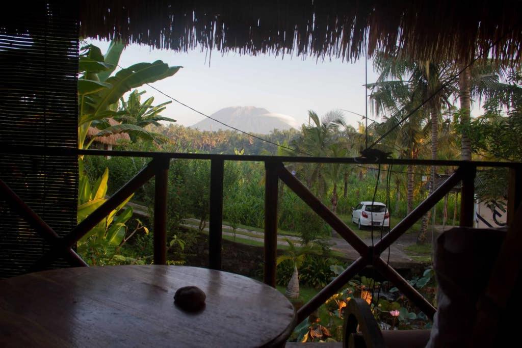 Deluxe Bungalow photo 3