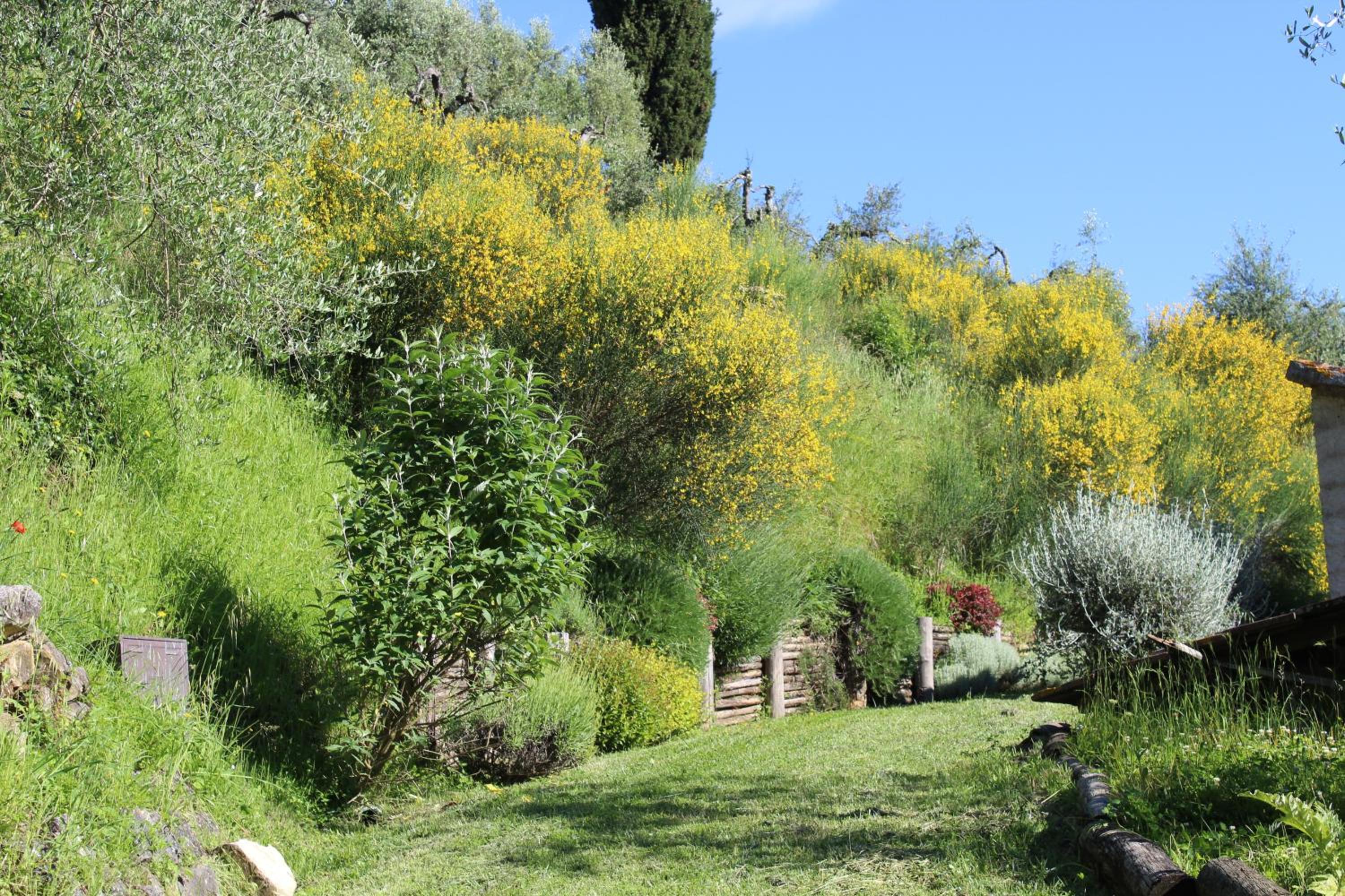 Villa with Garden View photo 3