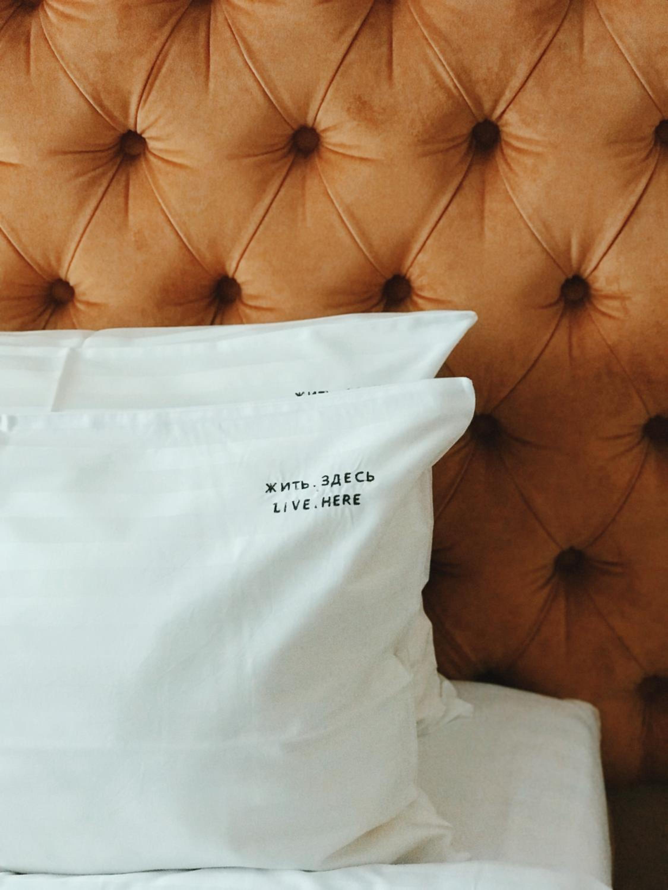 Double or Twin Room photo 1