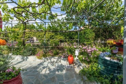 Apartment with Garden View