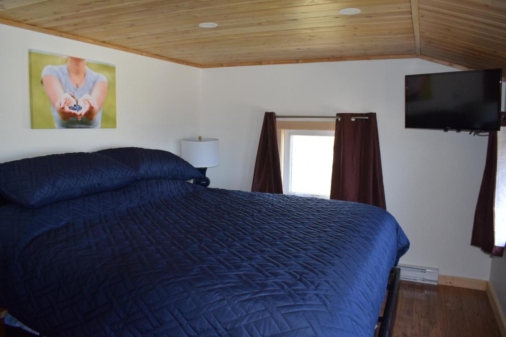 Deluxe King Suite photo 1