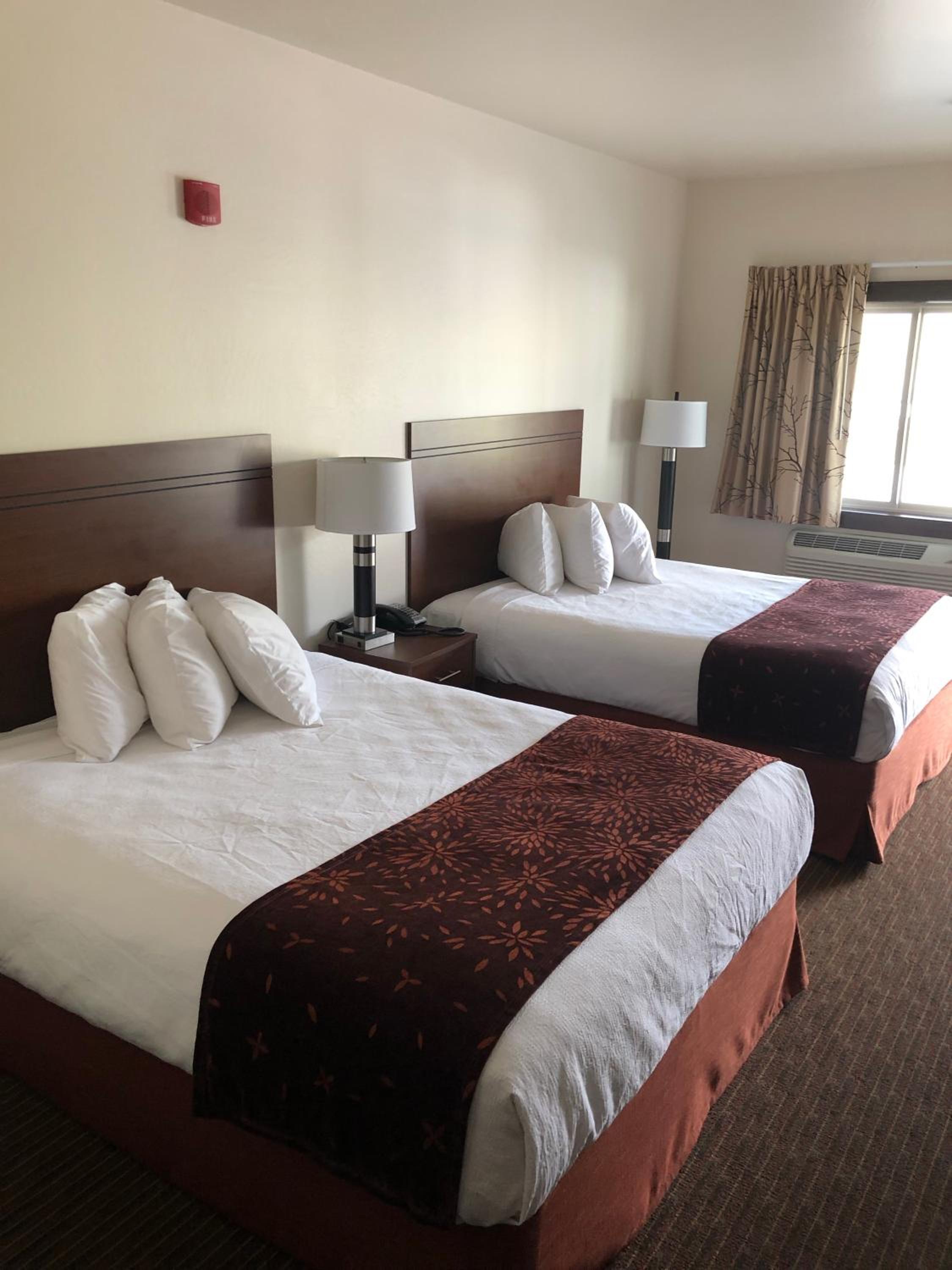Queen Suite photo 3