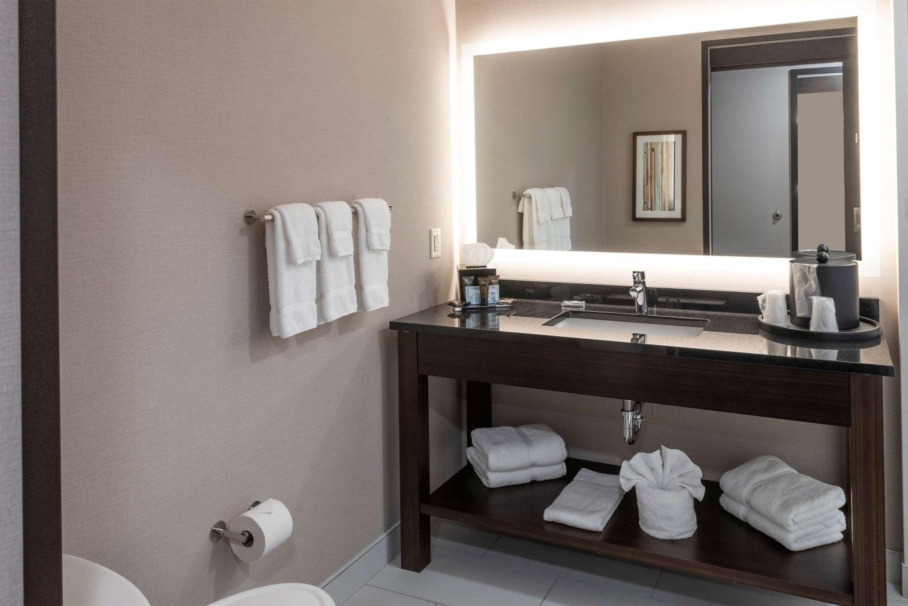 One-Bedroom King Suite - Mobility Access/Non-Smoking  - Photo 10