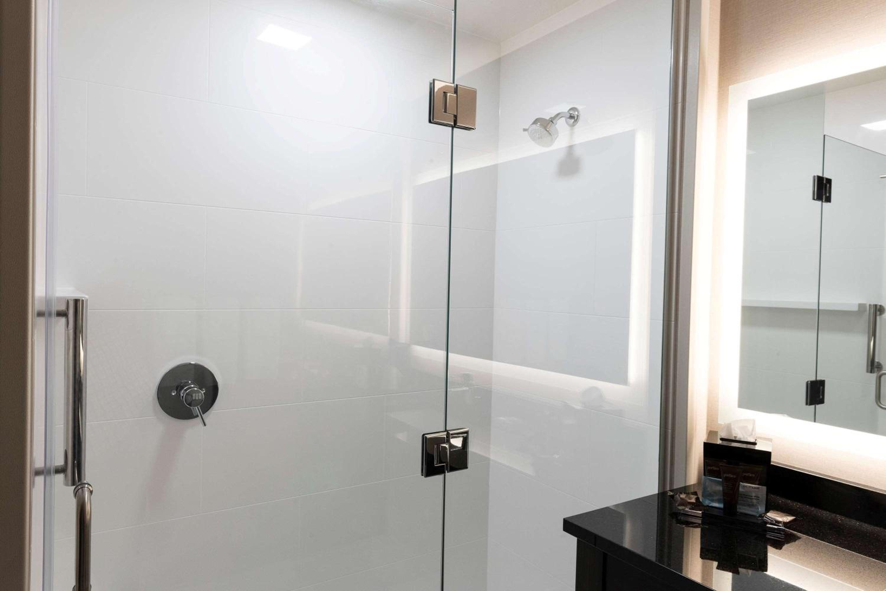One-Bedroom King Suite - Mobility Access/Non-Smoking  - Photo 15