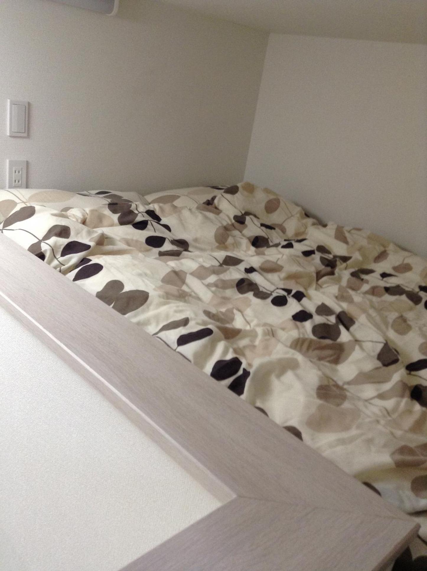 Apartment with Loft [103] photo 1