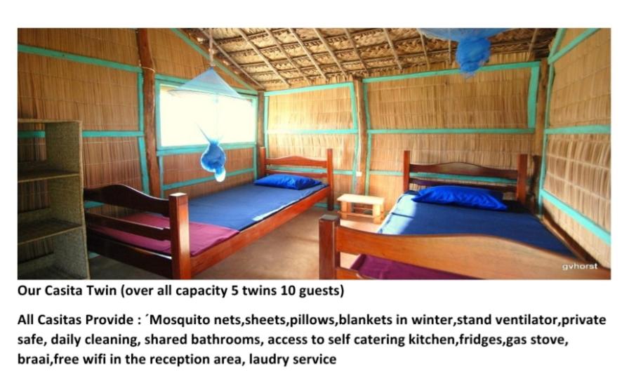Standard Twin Room with Shared Bathroom photo 1