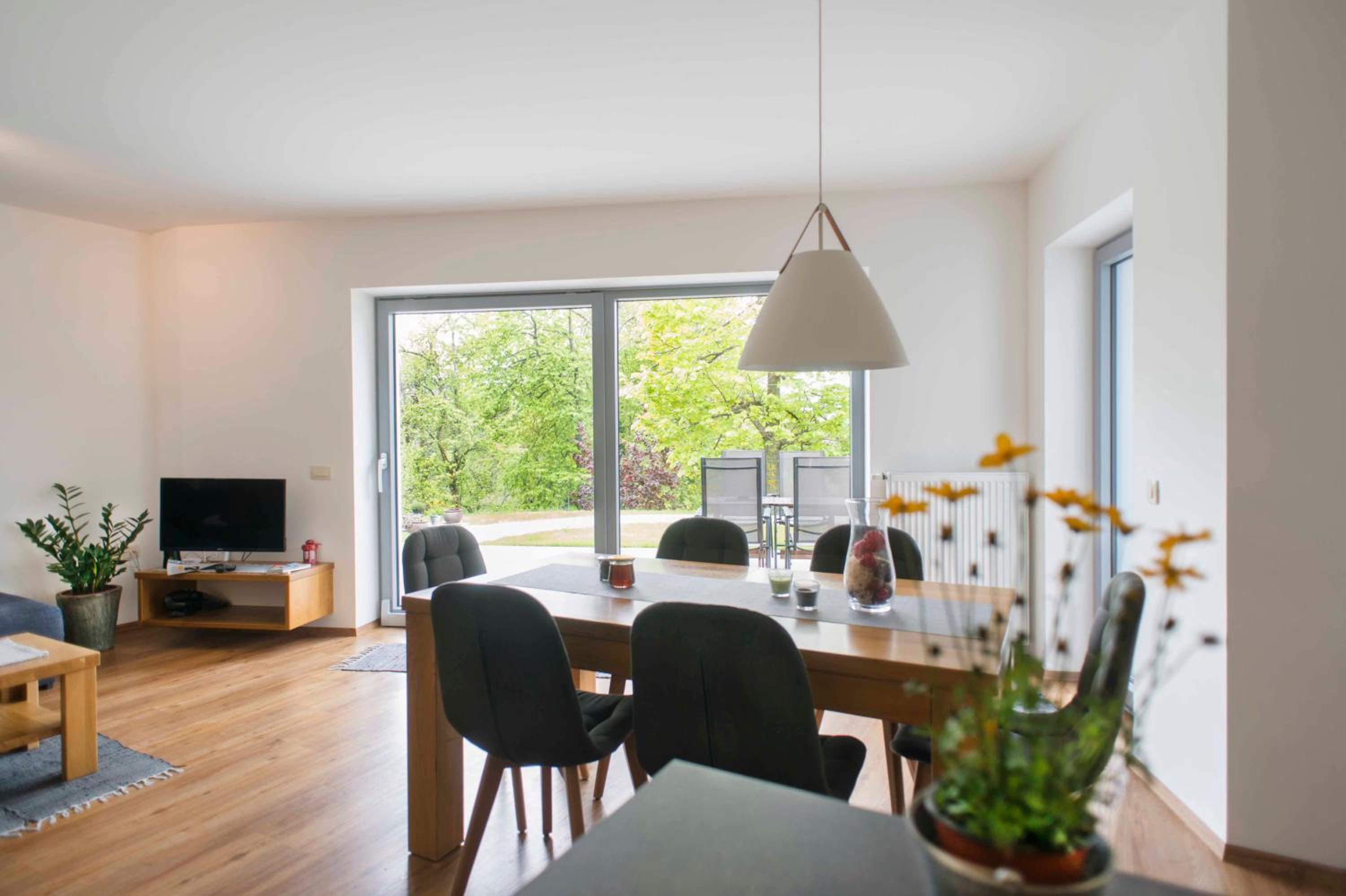 Apartment with Terrace photo 3