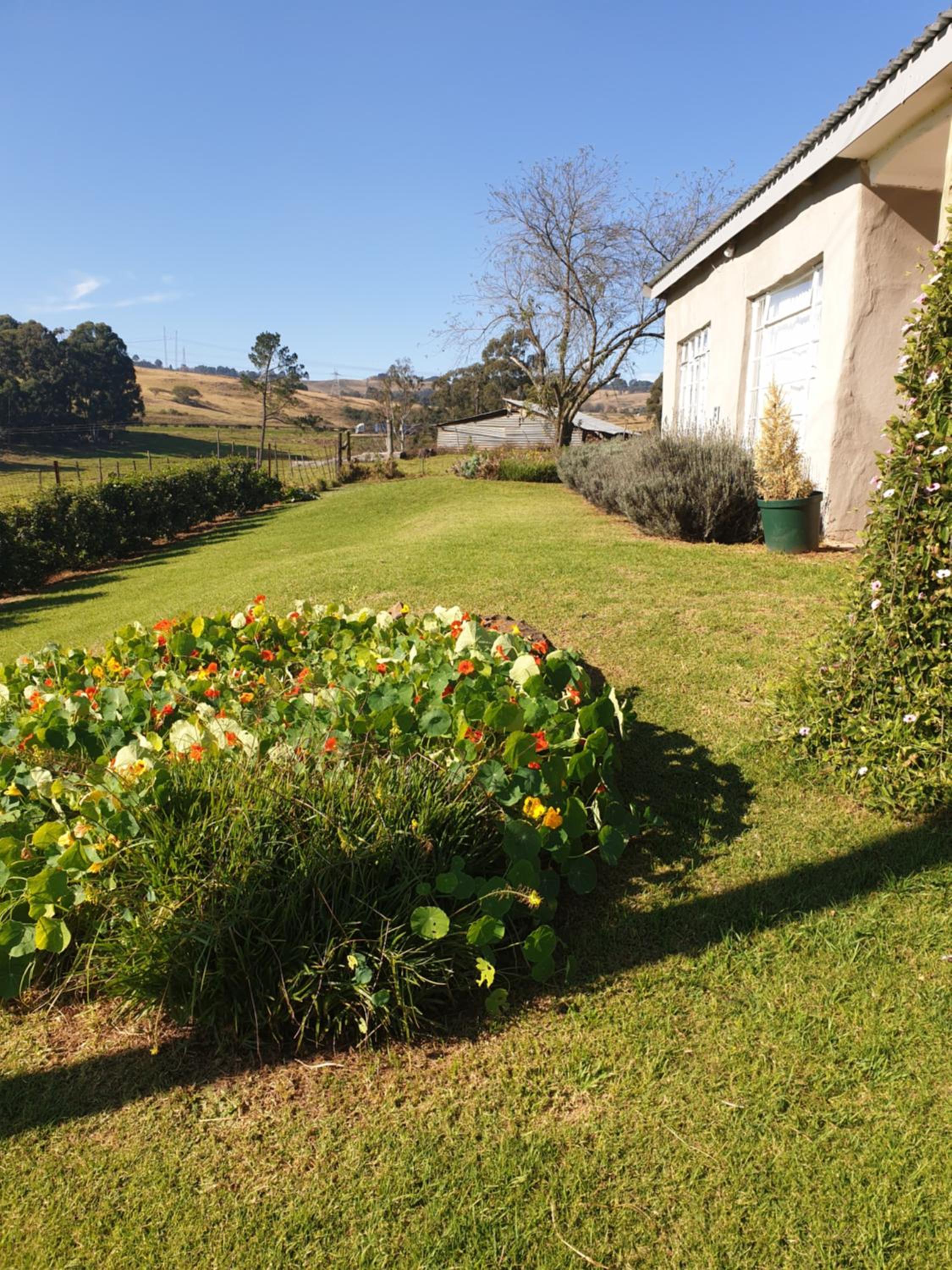 Bungalow - Photo 6