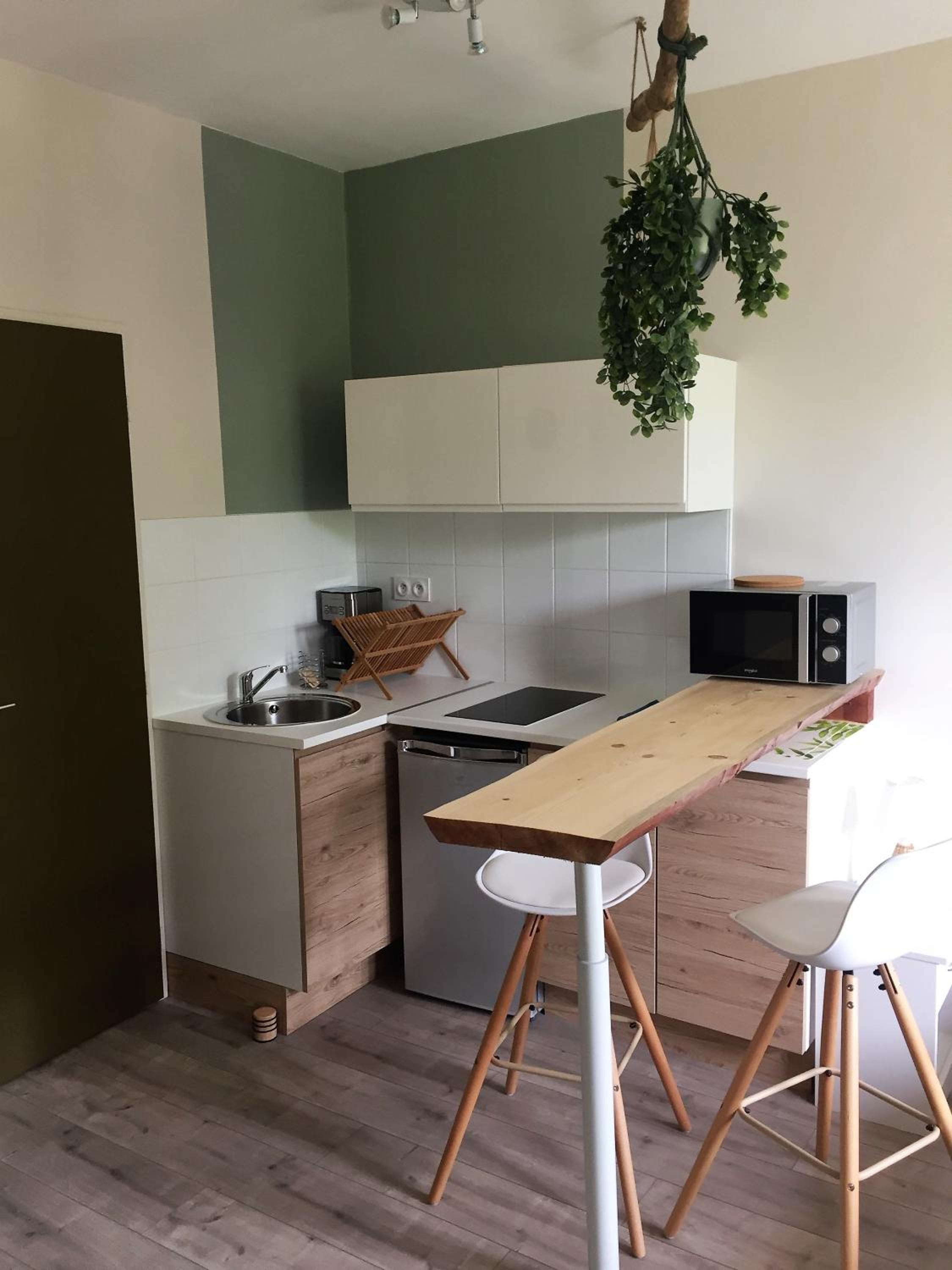 Studio with Garden View