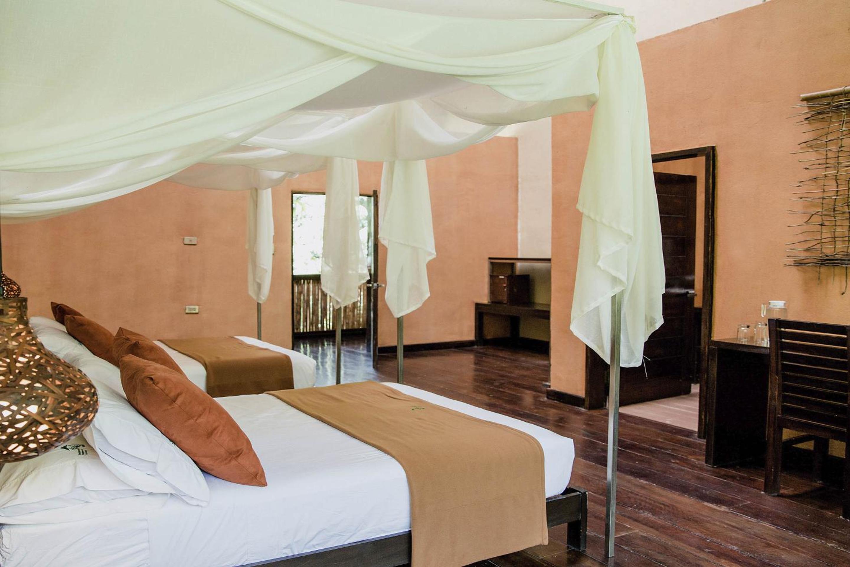Double or Twin Room photo 1