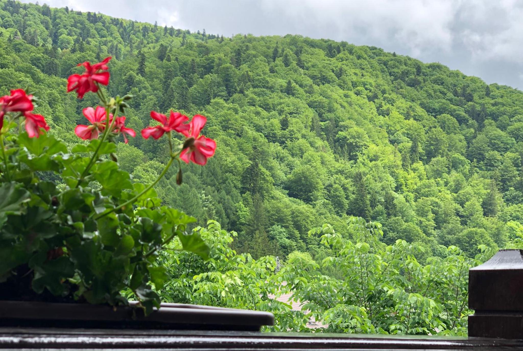 Double Room with Mountain View - Photo 7